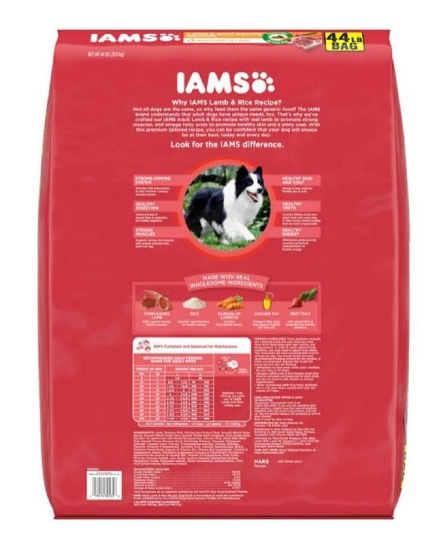 IAMS 019014805358 44 lbs Proactive Health Adult Lamb Rice Dry Minichunk Dog Food