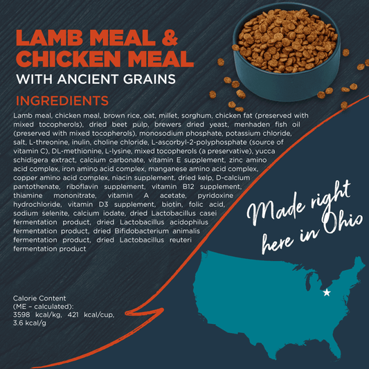 Blackwood Dry Dog Food Lamb & Chicken Meal with Ancient Grains 24 lb.