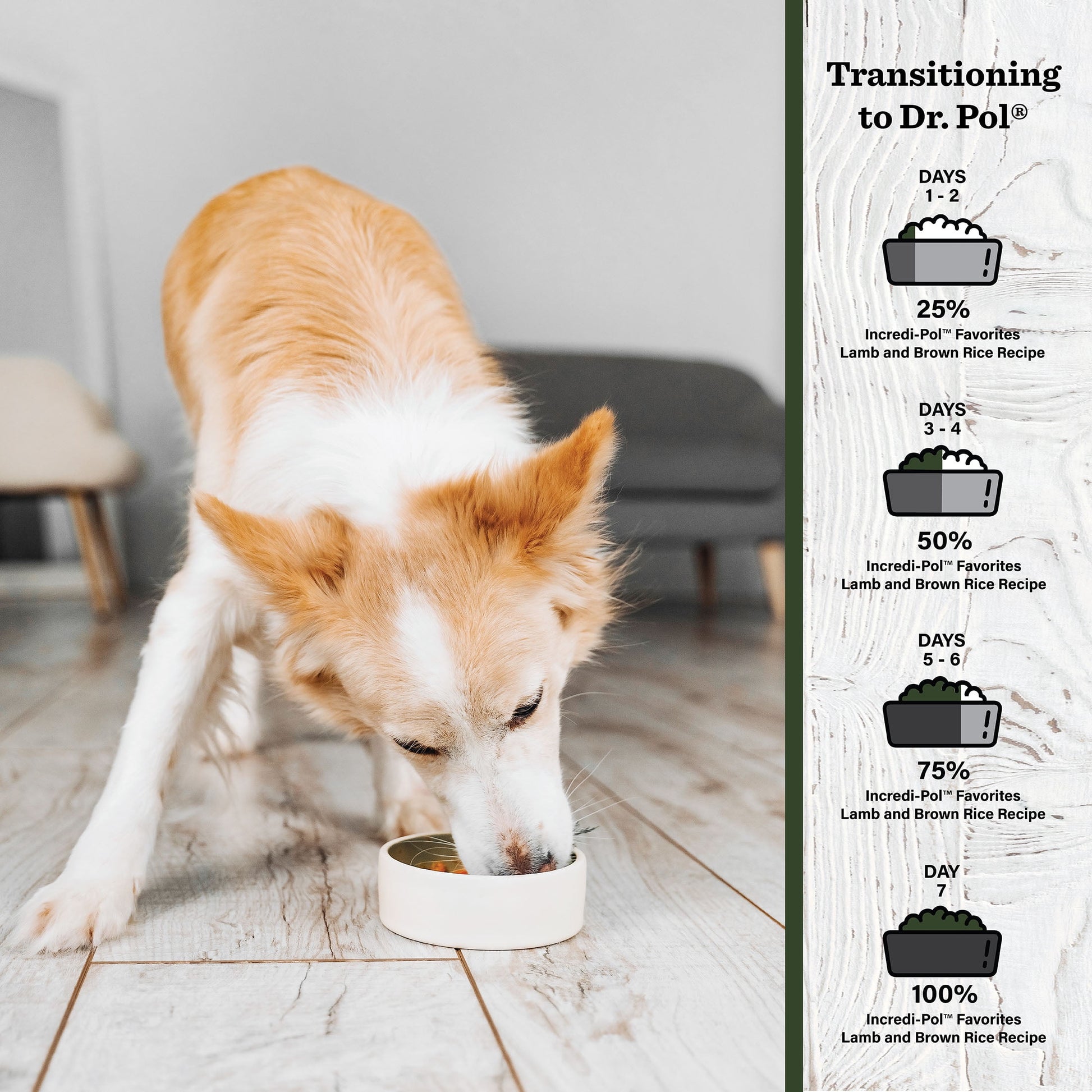 Dr. Pol Incredi-Pol Favorites Lamb and Brown Rice Recipe Dog Food - 24lb