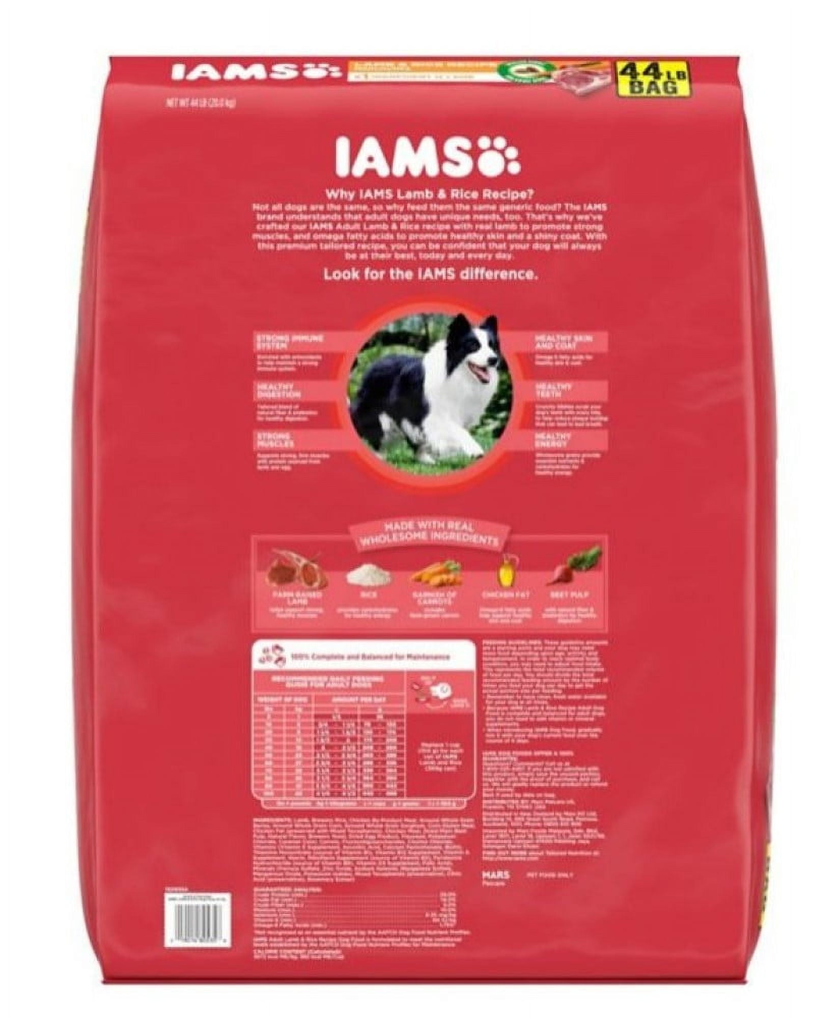 IAMS 019014805358 44 lbs Proactive Health Adult Lamb Rice Dry Minichunk Dog Food