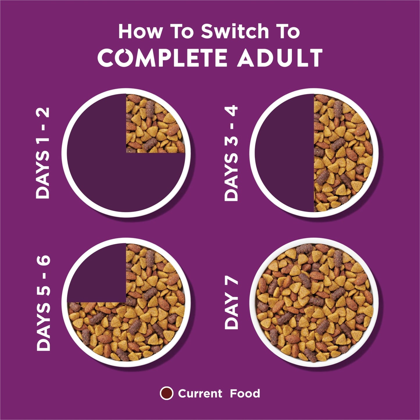 Purina Dog Chow Complete Adult Dry Dog Food Kibble with Lamb Flavor (Pack of 12)