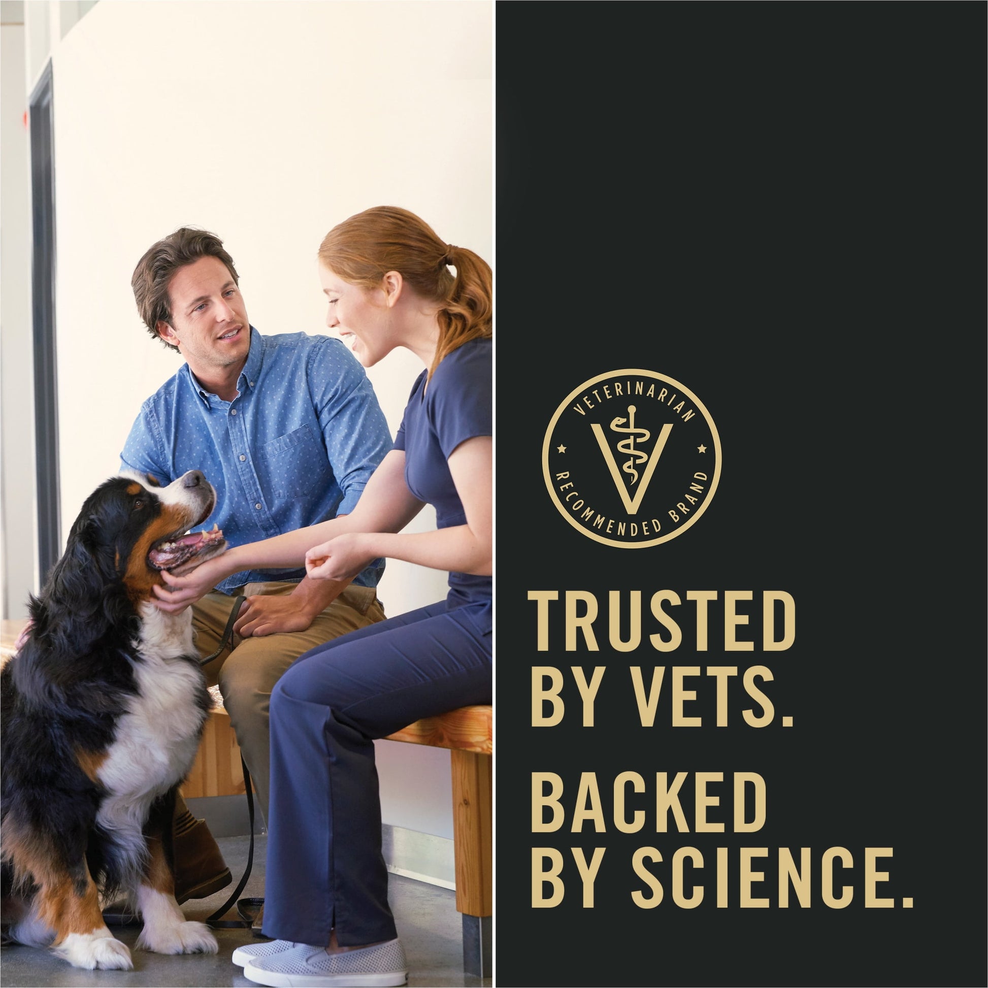 Purina Pro Plan Dry Dog Food for Large Adult Dogs High Protein,  Real Chicken & Rice, 34 lb Bag