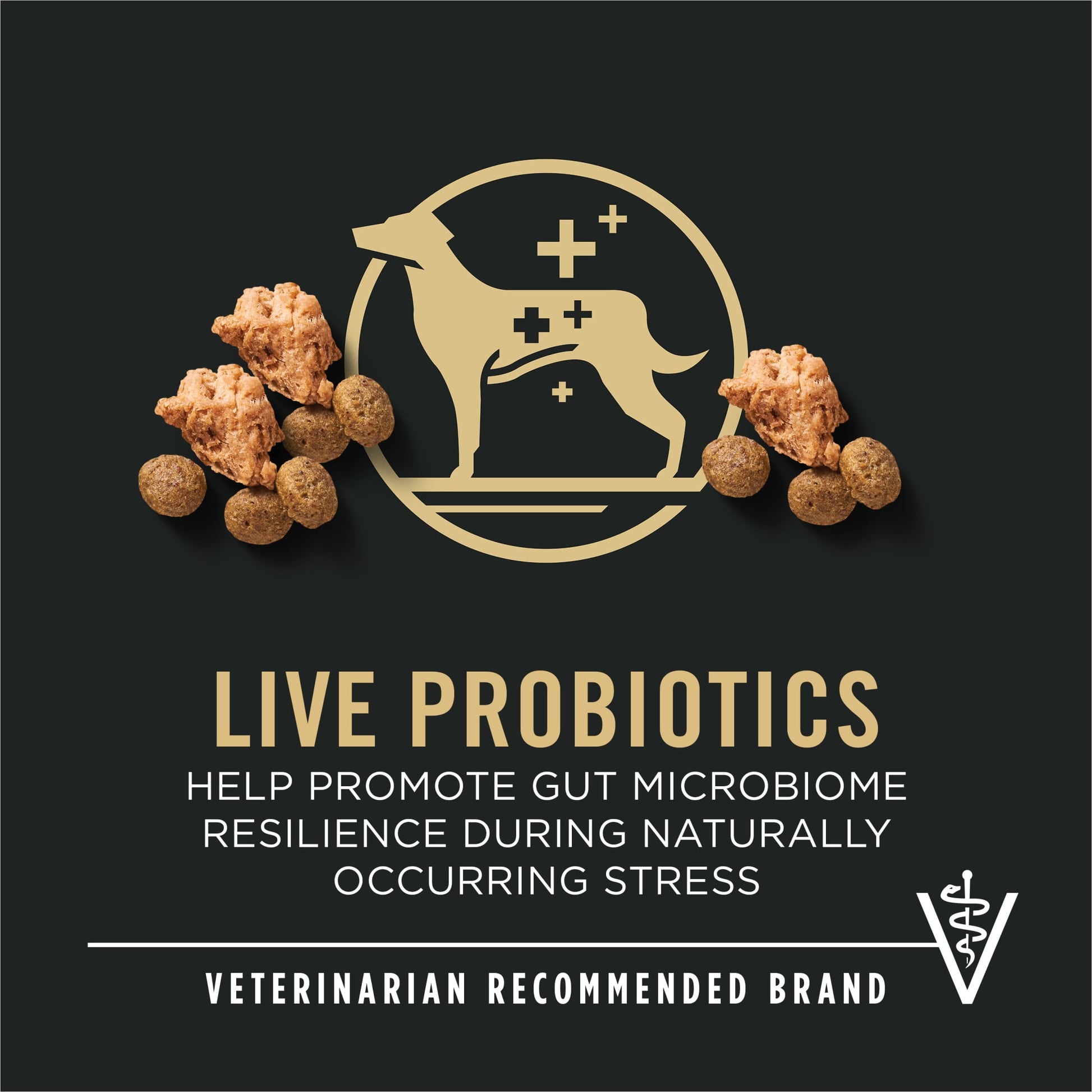 Purina Pro Plan 7 Plus Shredded Blend Chicken and Rice Formula Small Breed Dog Food Senior Formula, 6 lb Bag