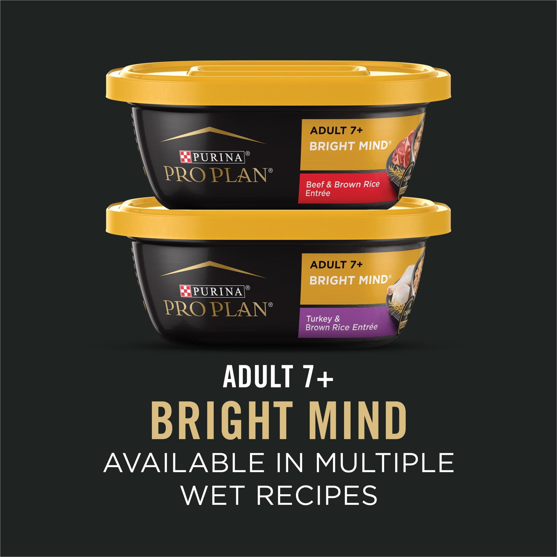 Purina Pro Plan Large Breed Senior Dog Food Bright Mind Seven Plus Chicken and Rice Formula