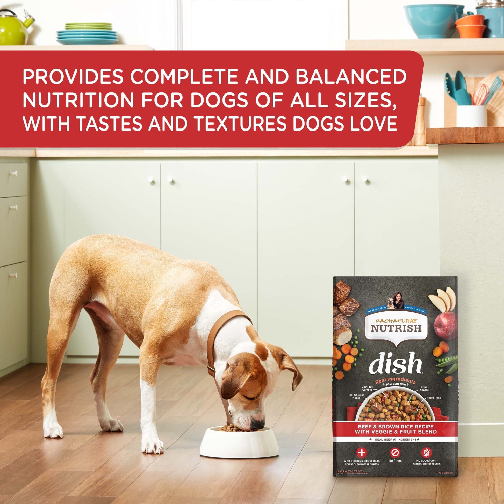 Rachael Ray Nutrish Dish Beef & Brown Rice Recipe with Veggies & Fruit Dry Dog Food, 3.75 lb. Bag