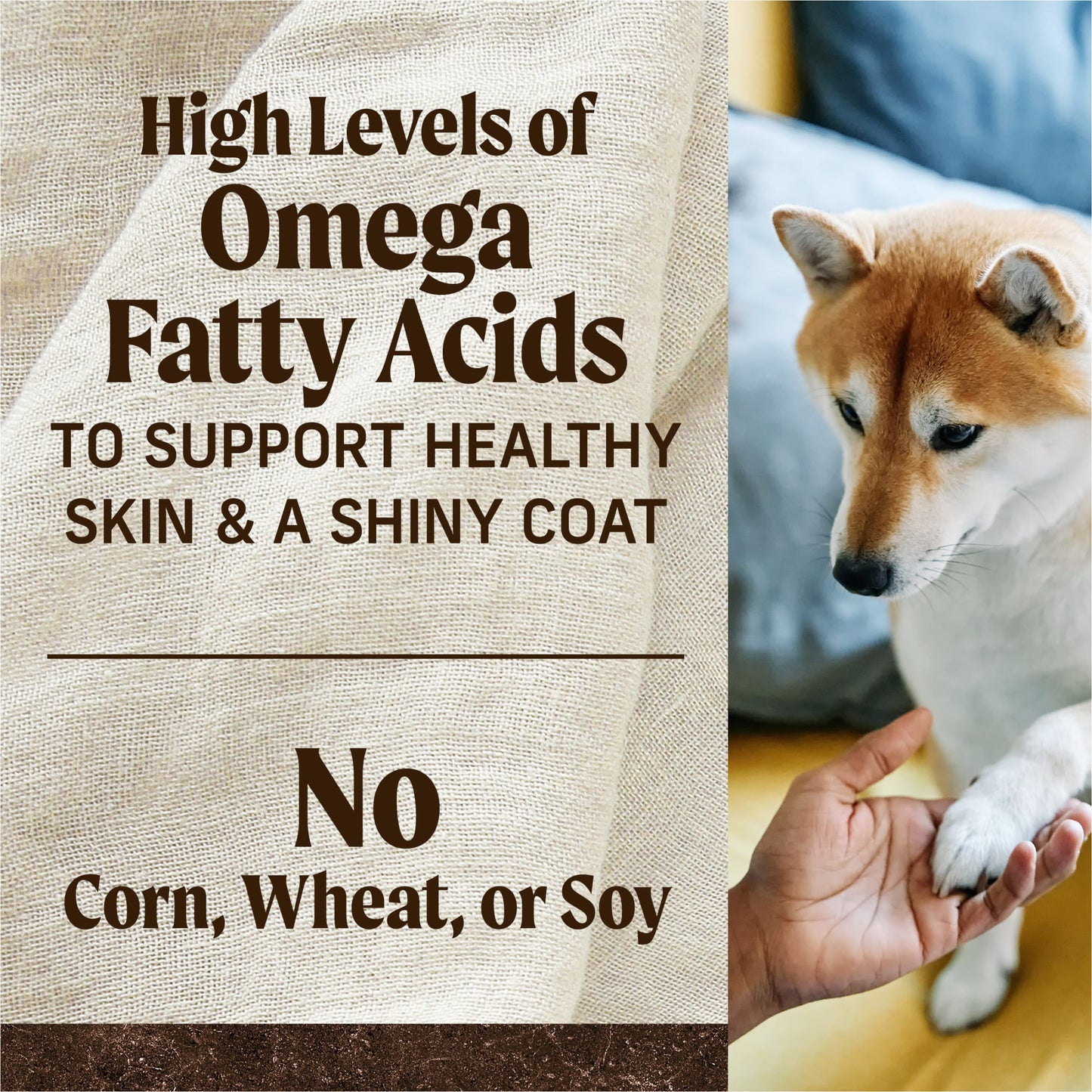 Merrick Premium Grain Free Dry Adult Dog Food, Wholesome And Natural Kibble With Real Chicken And Sweet Potato, 22.0 lb. Bag