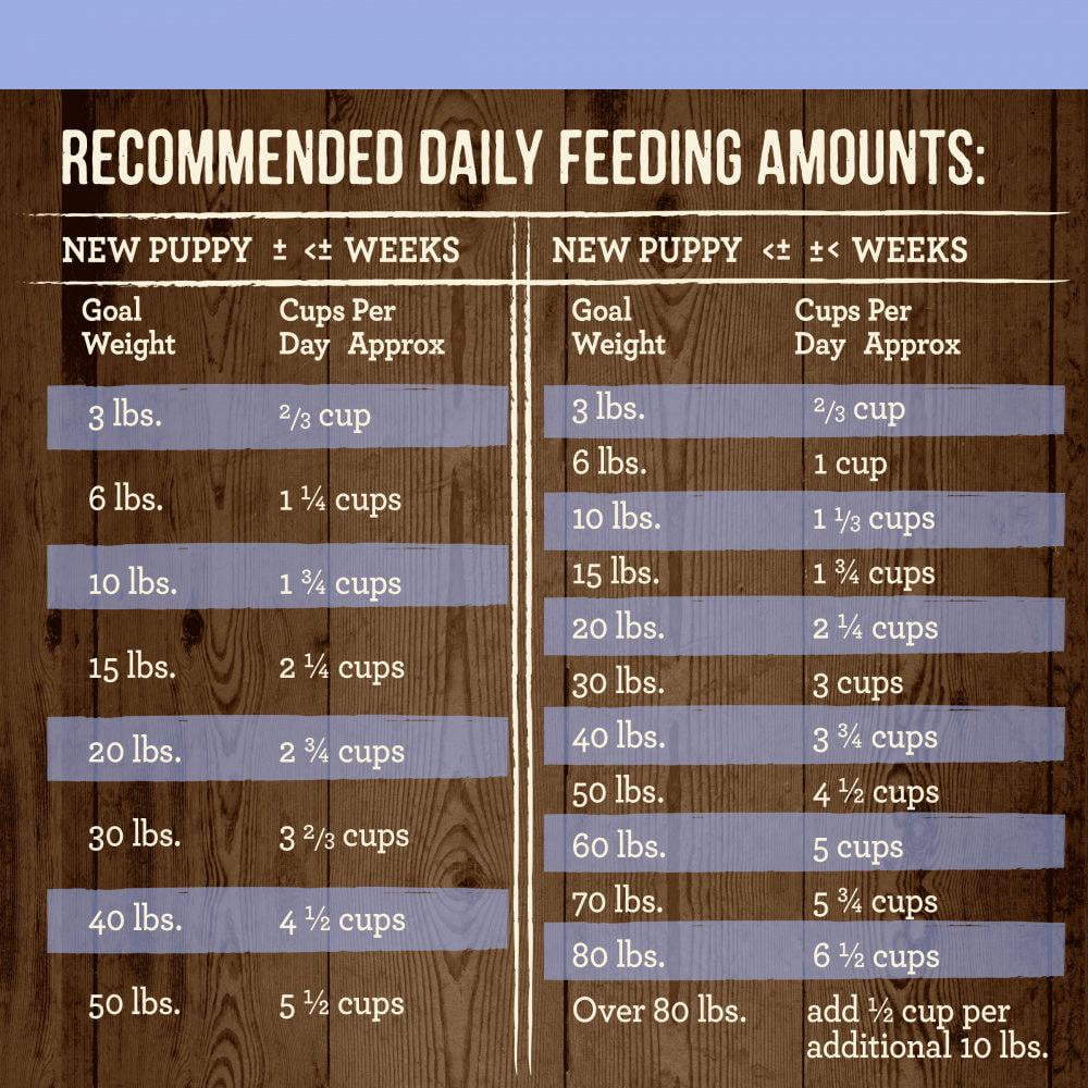 Merrick Dry Puppy Food Real Chicken and Sweet Potato Grain Free Dog Food Recipe 10 lb