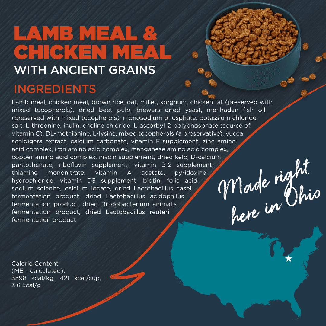 Blackwood Dry Dog Food Lamb & Chicken Meal with Ancient Grains 24 lb.