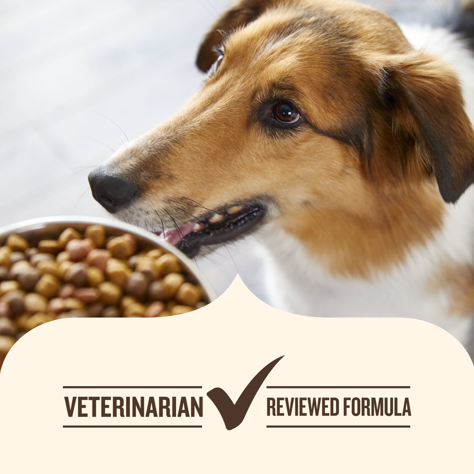 Nutrish High Protein Beef, Potato & Peas Recipe with Venison & Lamb Dry Dog Food, 4 lb. Bag (Rachael Ray)