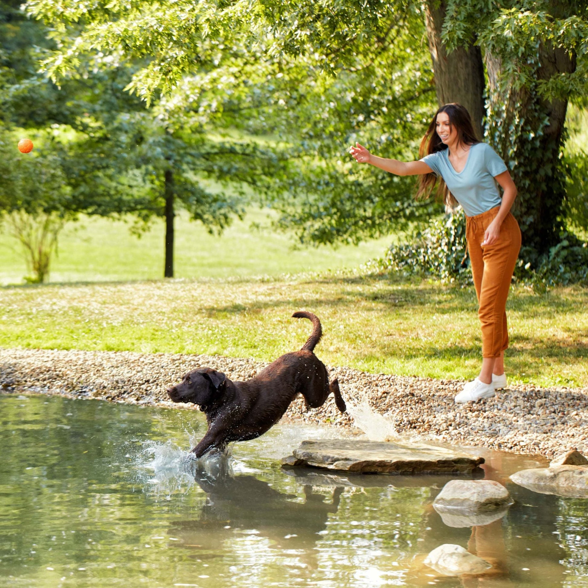 Nature’s Recipe Grain Free Salmon, Sweet Potato & Pumpkin Recipe Dry Dog Food, 12 lb. Bag