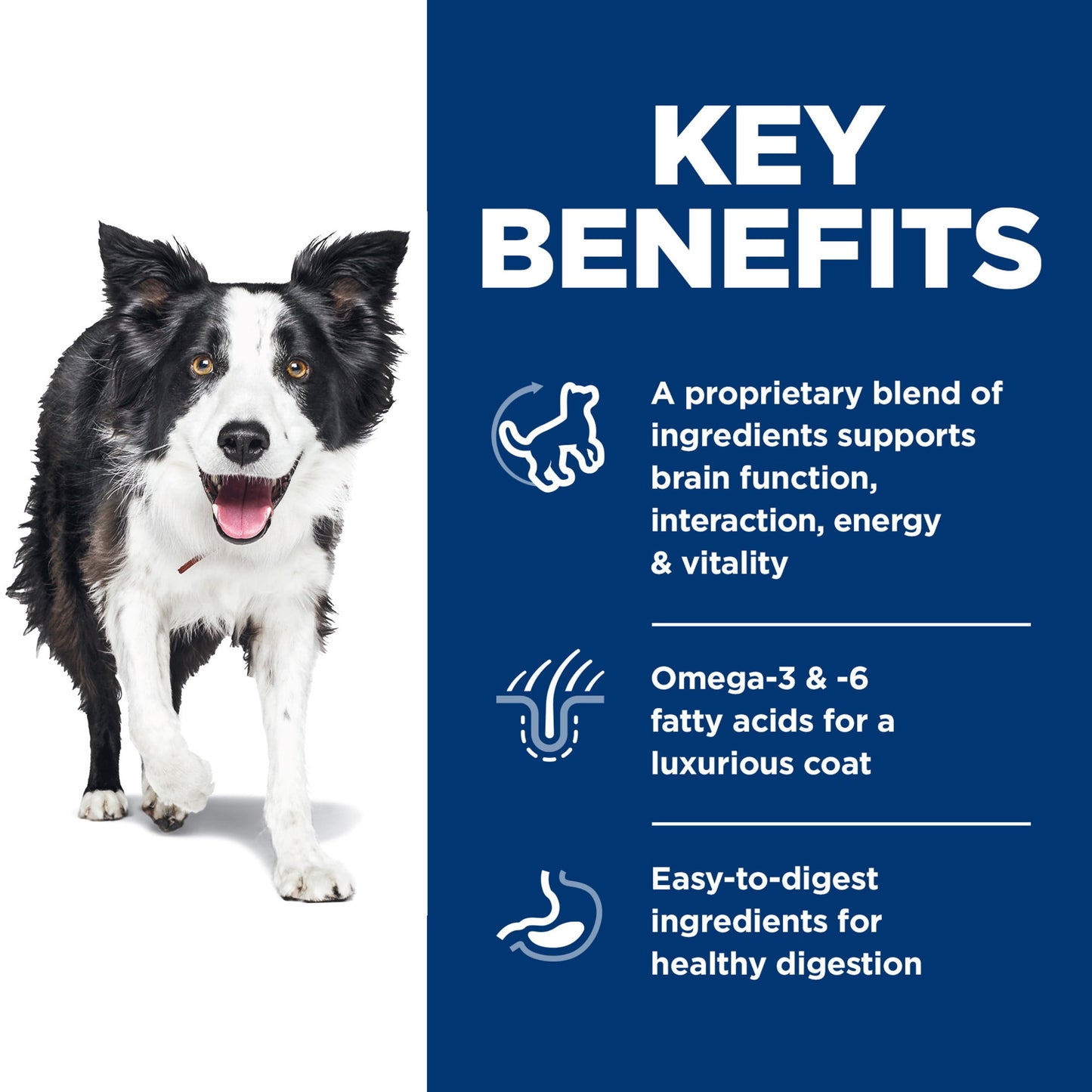 Hill's Science Diet 7+ Senior Vitality Chicken & Rice Dry Dog Food, 3.5lb Bag