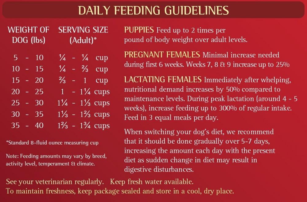 Zignature Small Bites Grain Free Lamb Formula Dry Dog Food 12.5 lb