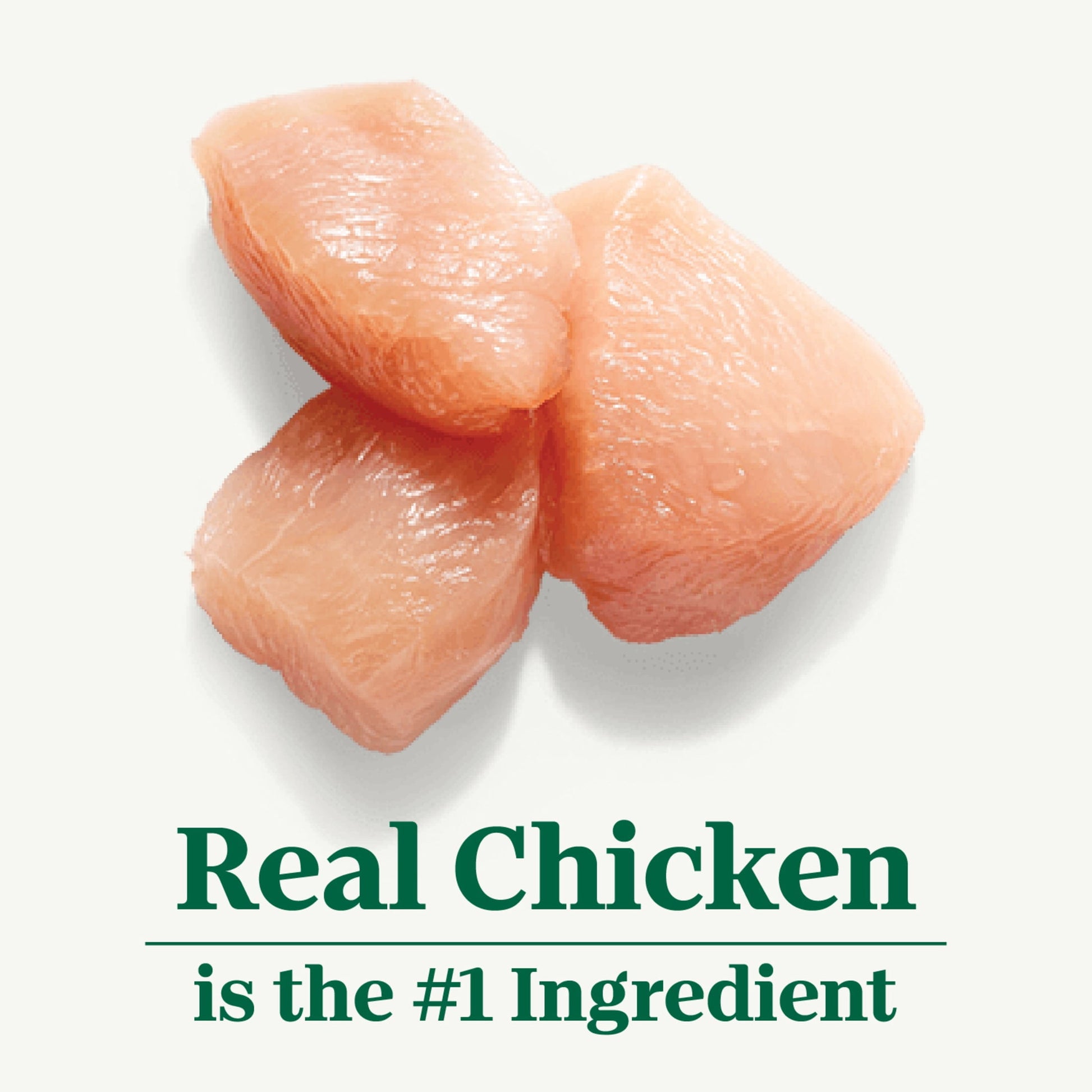 Nutro Natural Choice Large Breed Puppy Dry Dog Food, Chicken And Brown Rice, 30 Lbs.