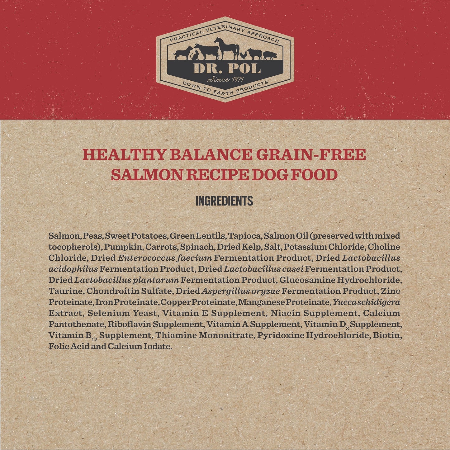 Dr. Pol Healthy Balance Limited Ingredient Grain-Free Salmon Recipe Dog Food, 4 lb. Bag