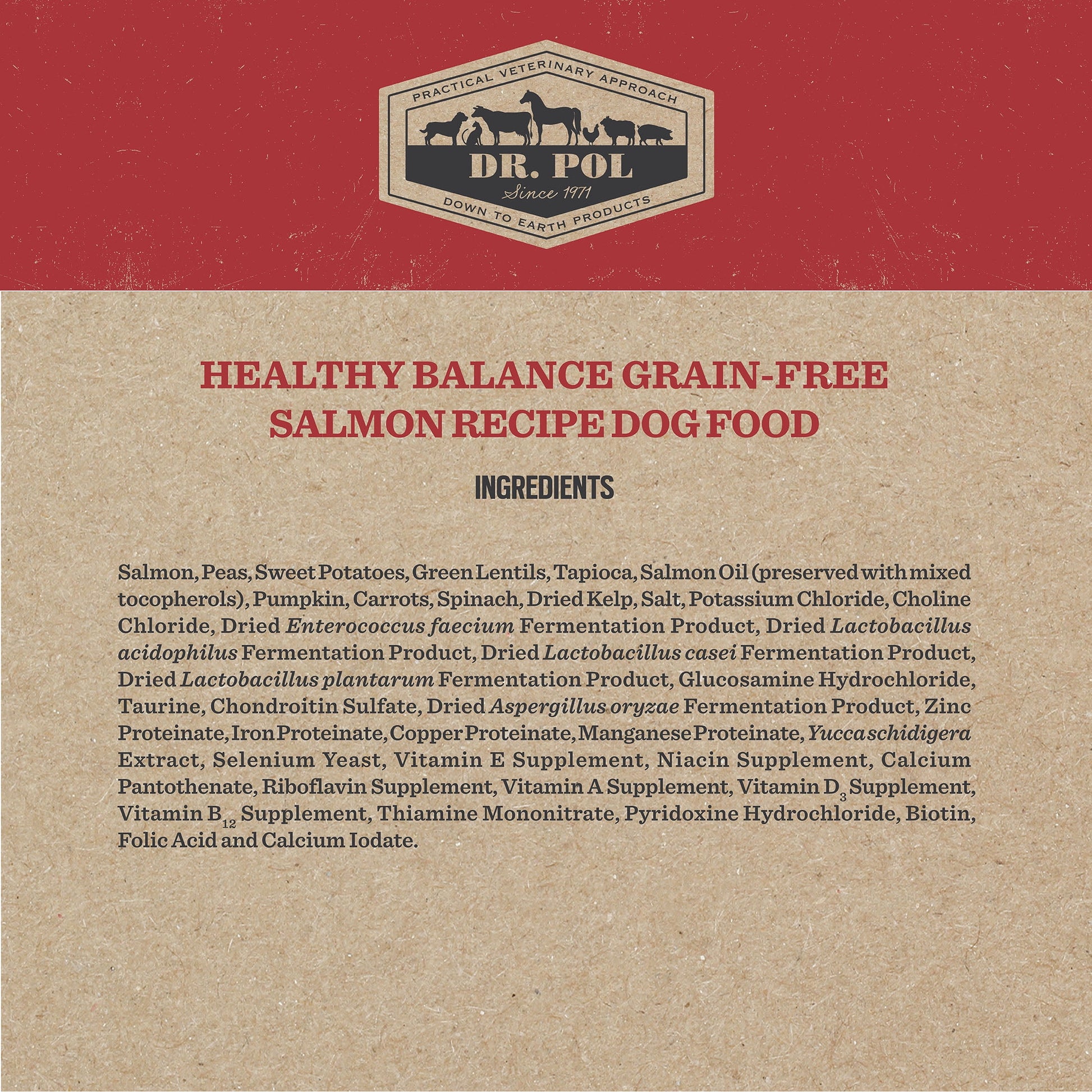 Dr. Pol Healthy Balance Limited Ingredient Grain-Free Salmon Recipe Dog Food, 4 lb. Bag