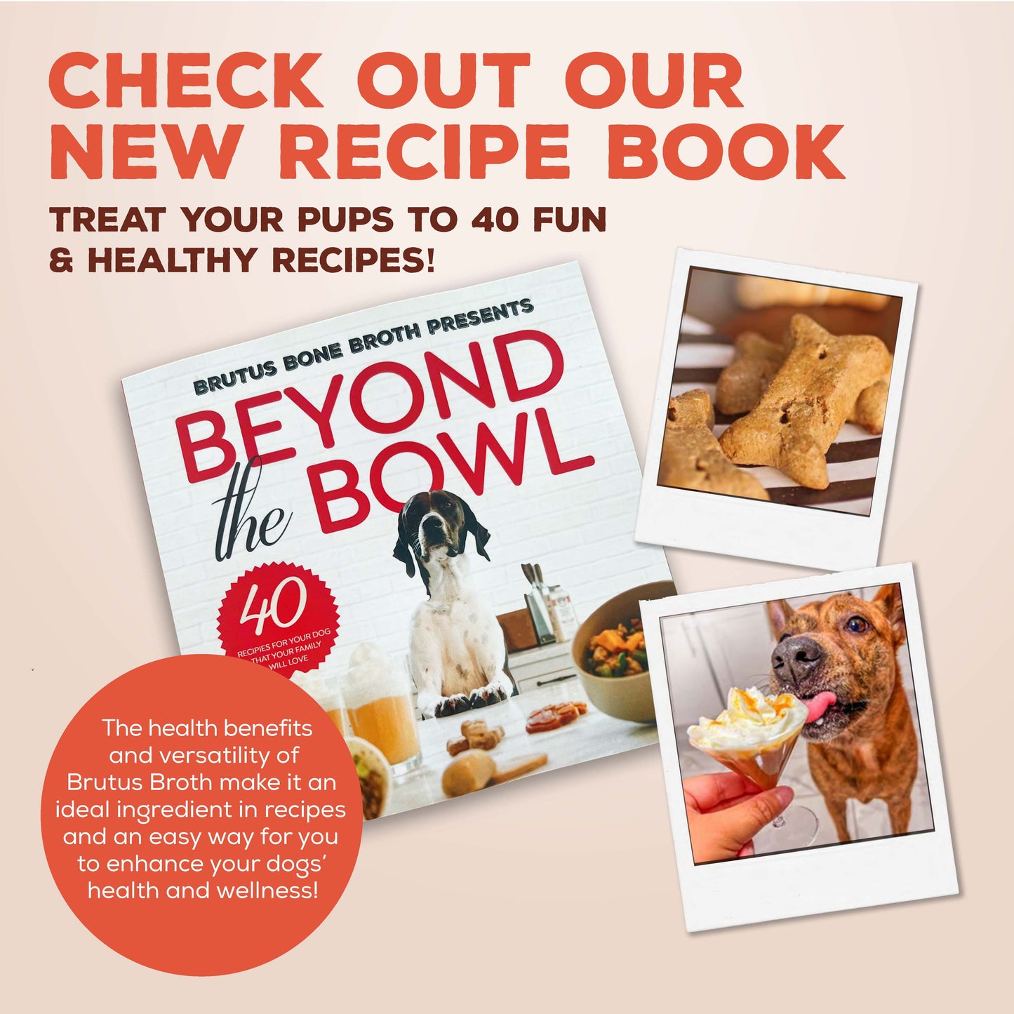 Brutus Bone Broth Beef for Dogs - 32 oz, All Natural Human Grade Dog Food Topper with Chondroitin Glucosamine Turmeric, Great for Picky Eaters & Dry Food, Tasty & Nutritious