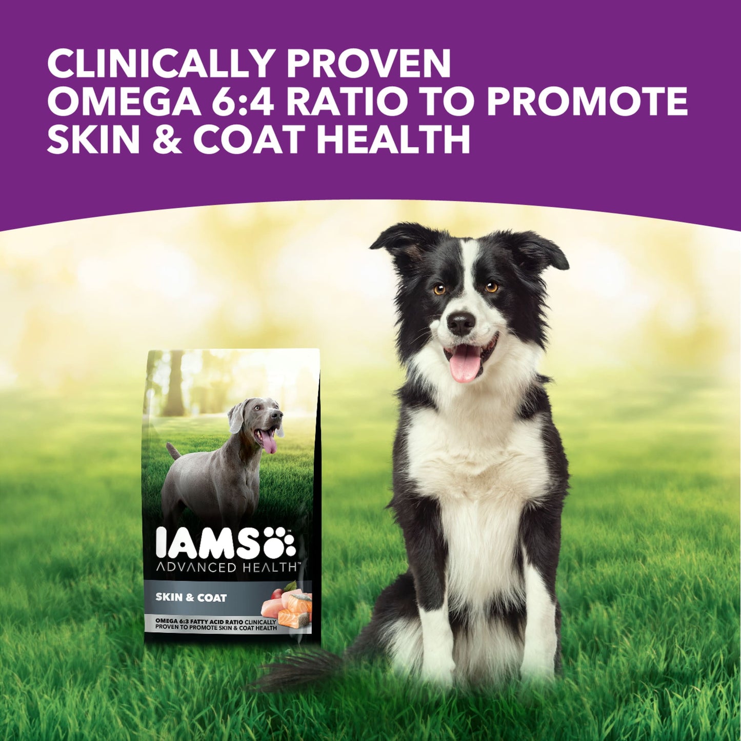 Iams Advanced Health Skin & Coat Chicken And Salmon Recipe Adult Dry Dog Food, 27 Lb Bag
