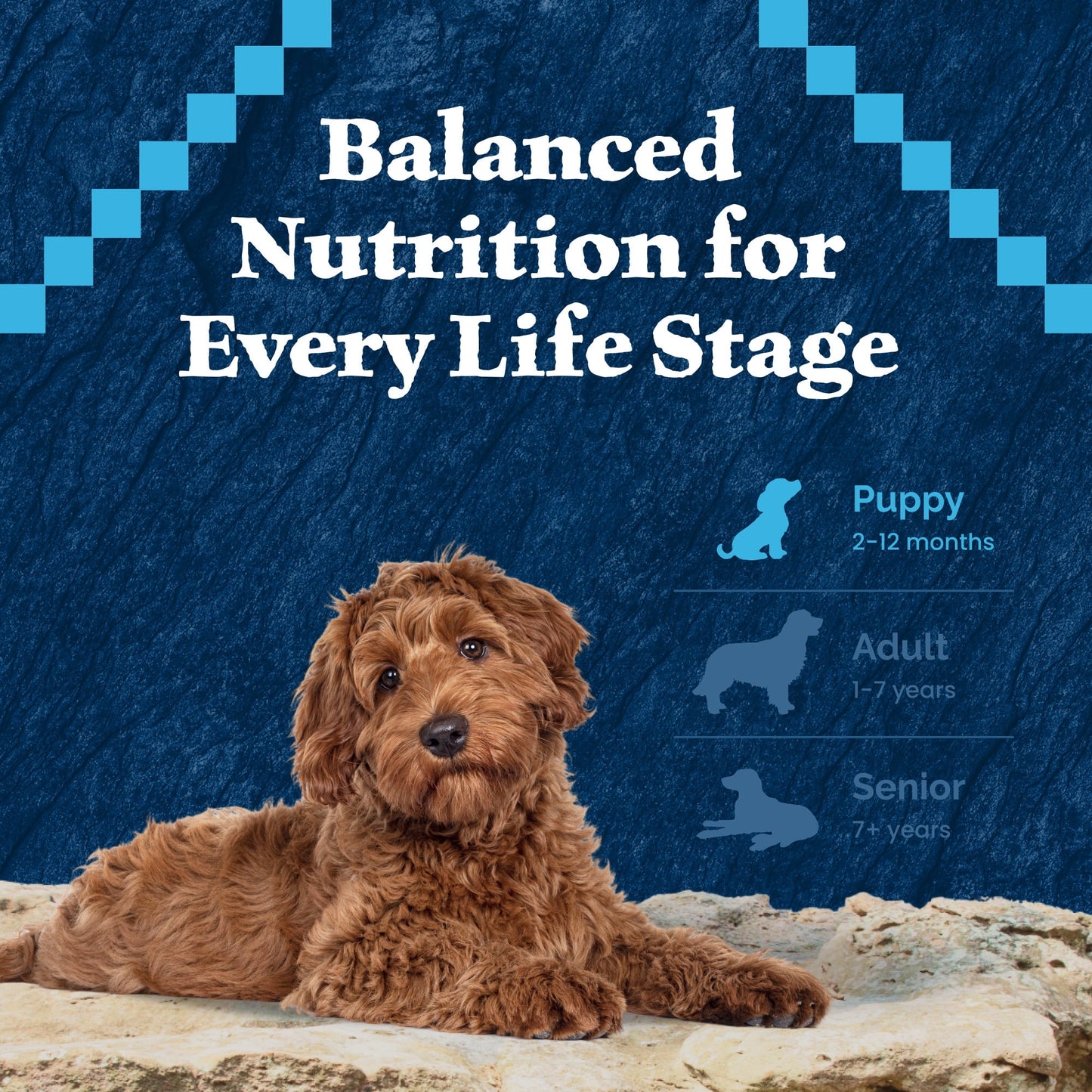 Blue Buffalo Wilderness High-Protein Natural Dry Food for Puppies, Salmon Recipe 4.5-lb. Bag