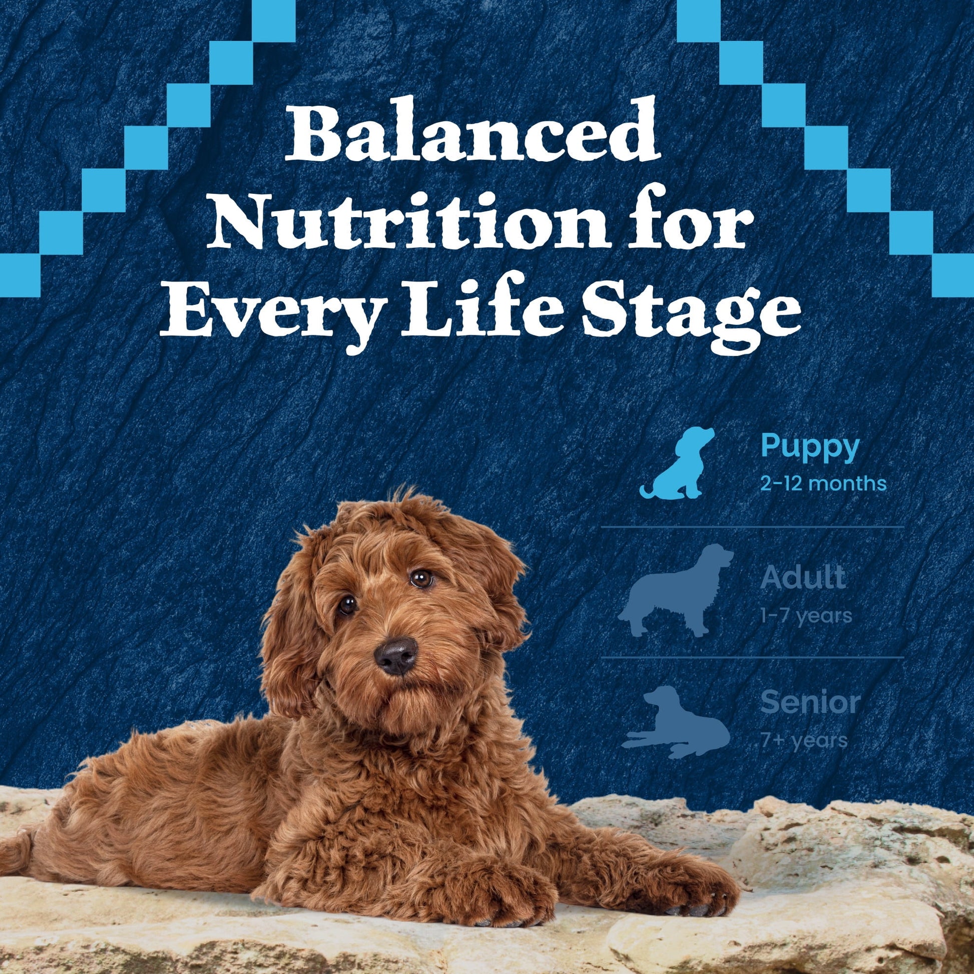 Blue Buffalo Wilderness High-Protein Natural Dry Food for Puppies, Salmon Recipe 4.5-lb. Bag