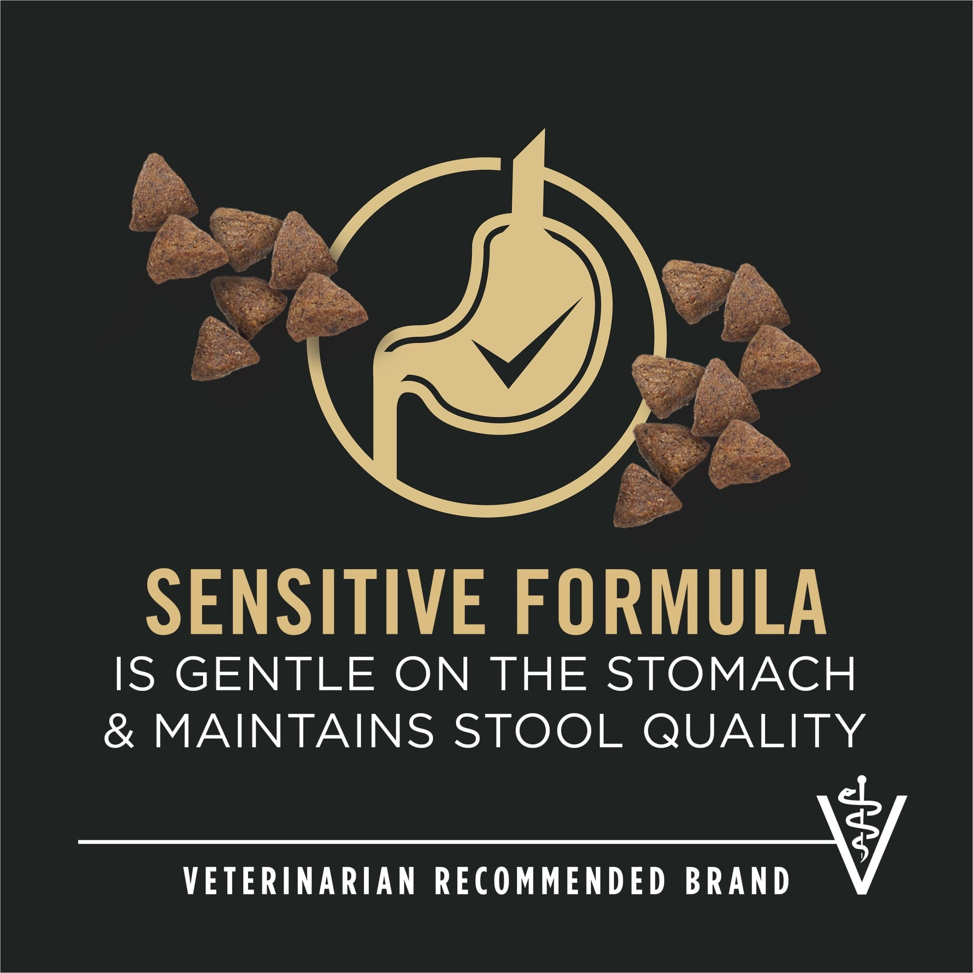 Purina Pro Plan Sensitive Skin and Stomach Adult Dog Food Small Breed Salmon and Rice Formula