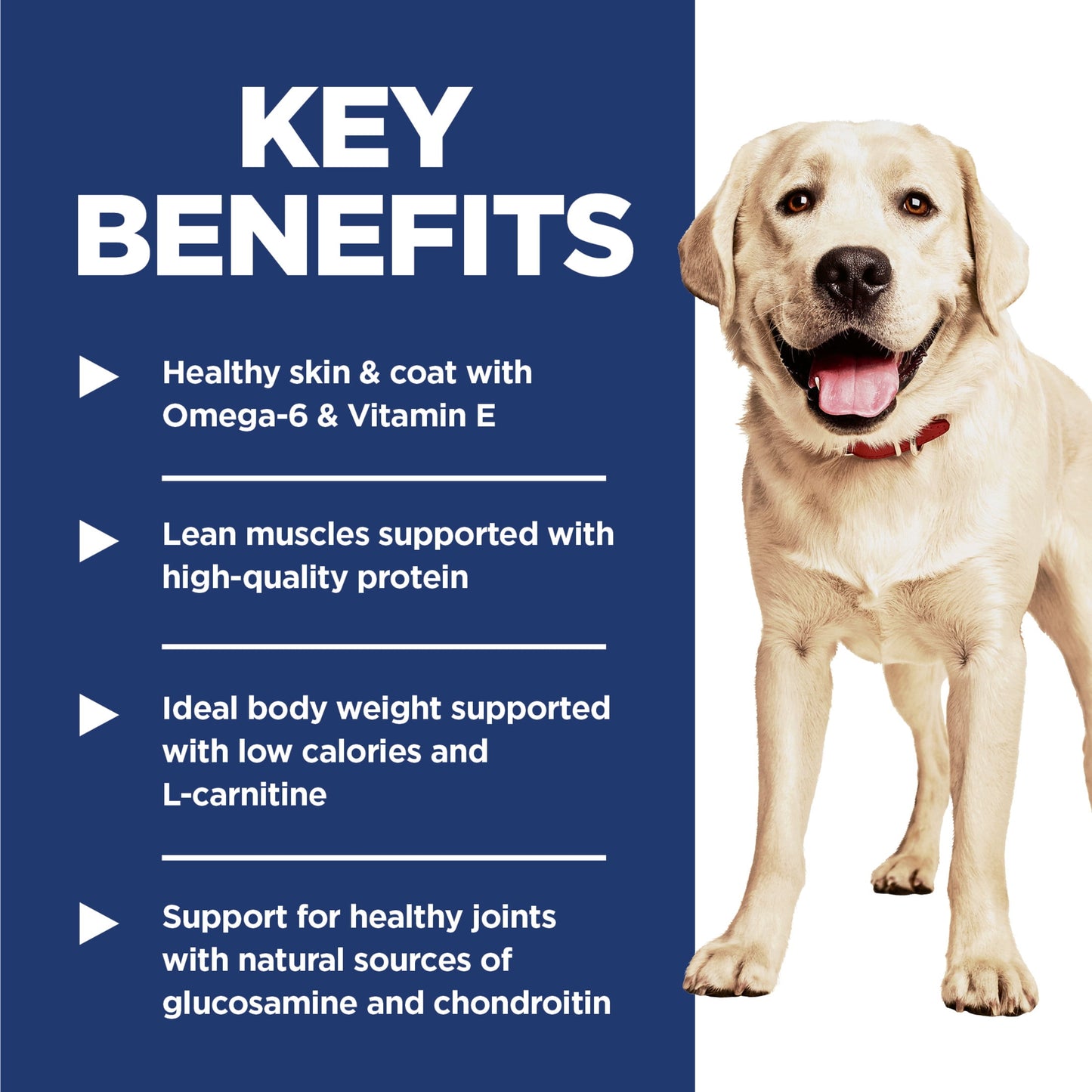 Hill's Science Diet Light Chicken & Barley Dry Dog Food, 15lb Bag