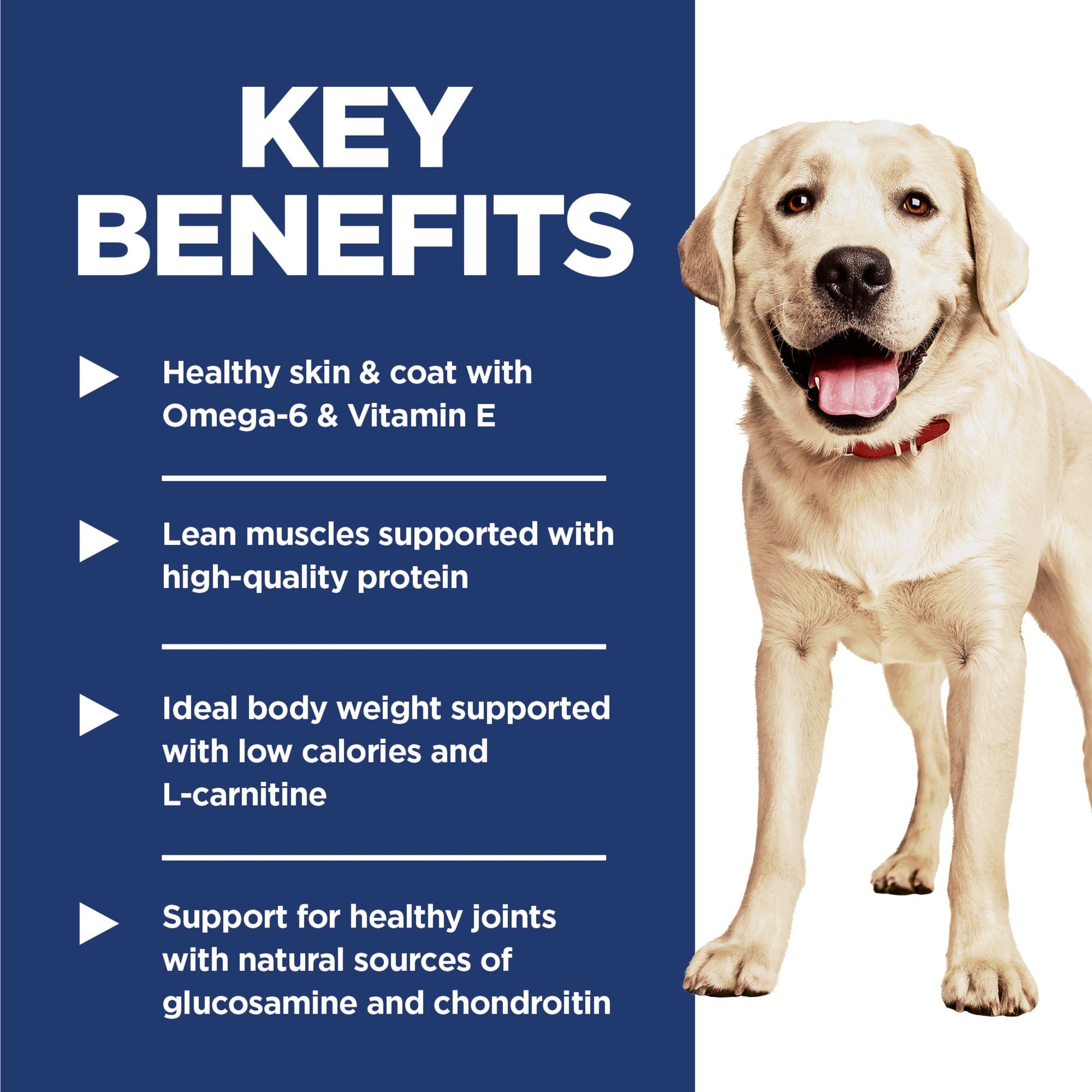 Hill's Science Diet Light Chicken & Barley Dry Dog Food, 15lb Bag