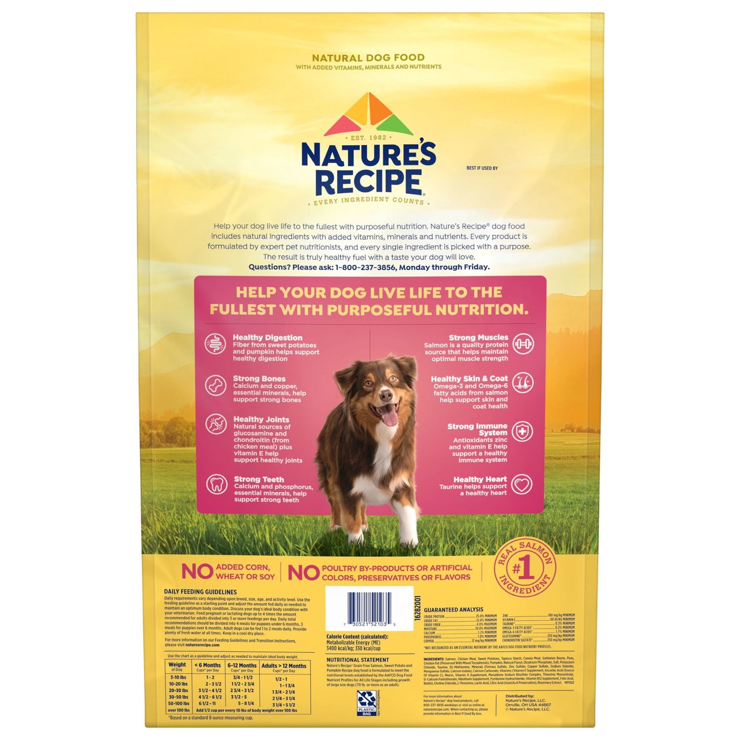 Nature’s Recipe Grain Free Salmon, Sweet Potato & Pumpkin Recipe Dry Dog Food, 12 lb. Bag