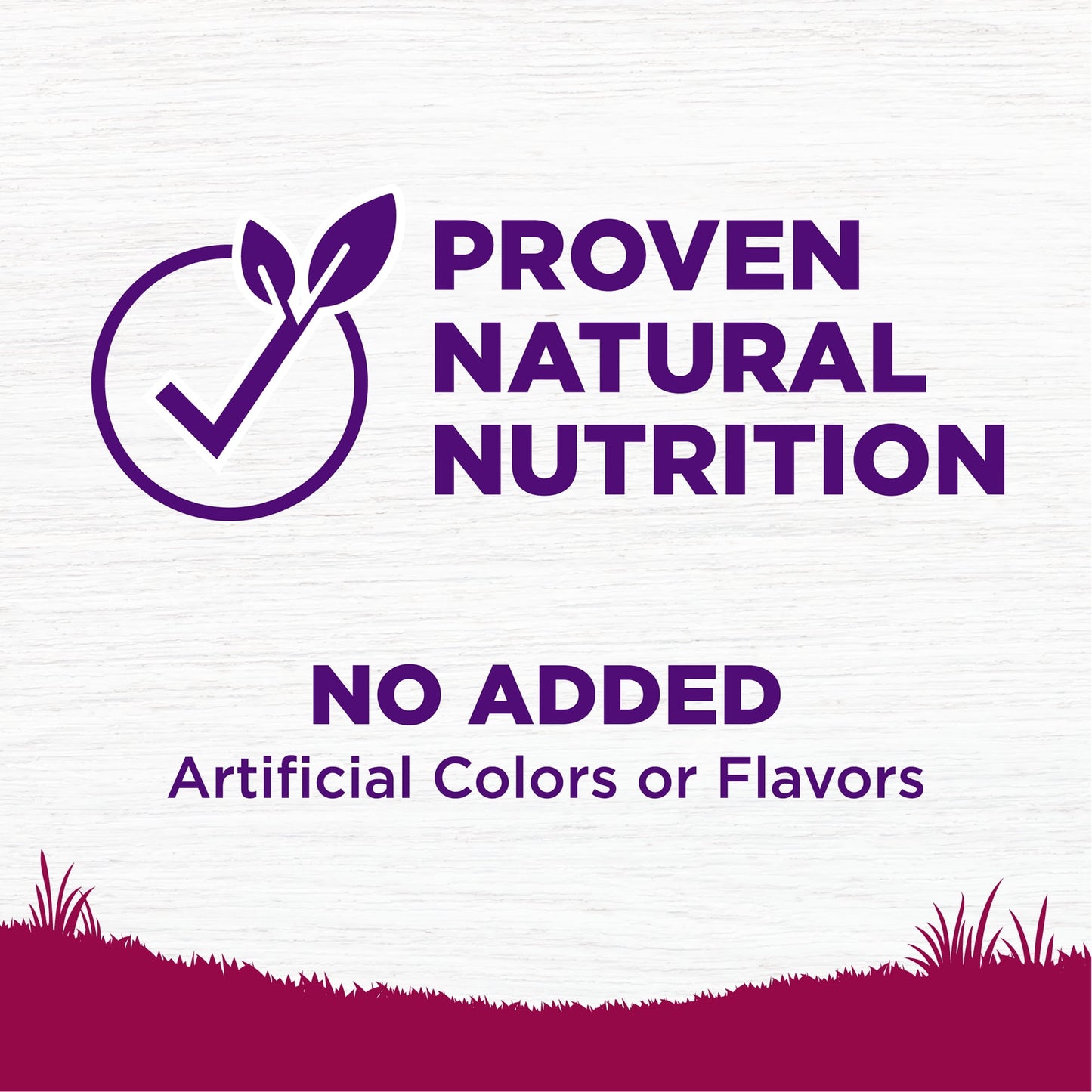 Wellness Complete Health Natural Small Breed Healthy Weight Dry Dog Food, Turkey & Rice, 12-Pound Bag