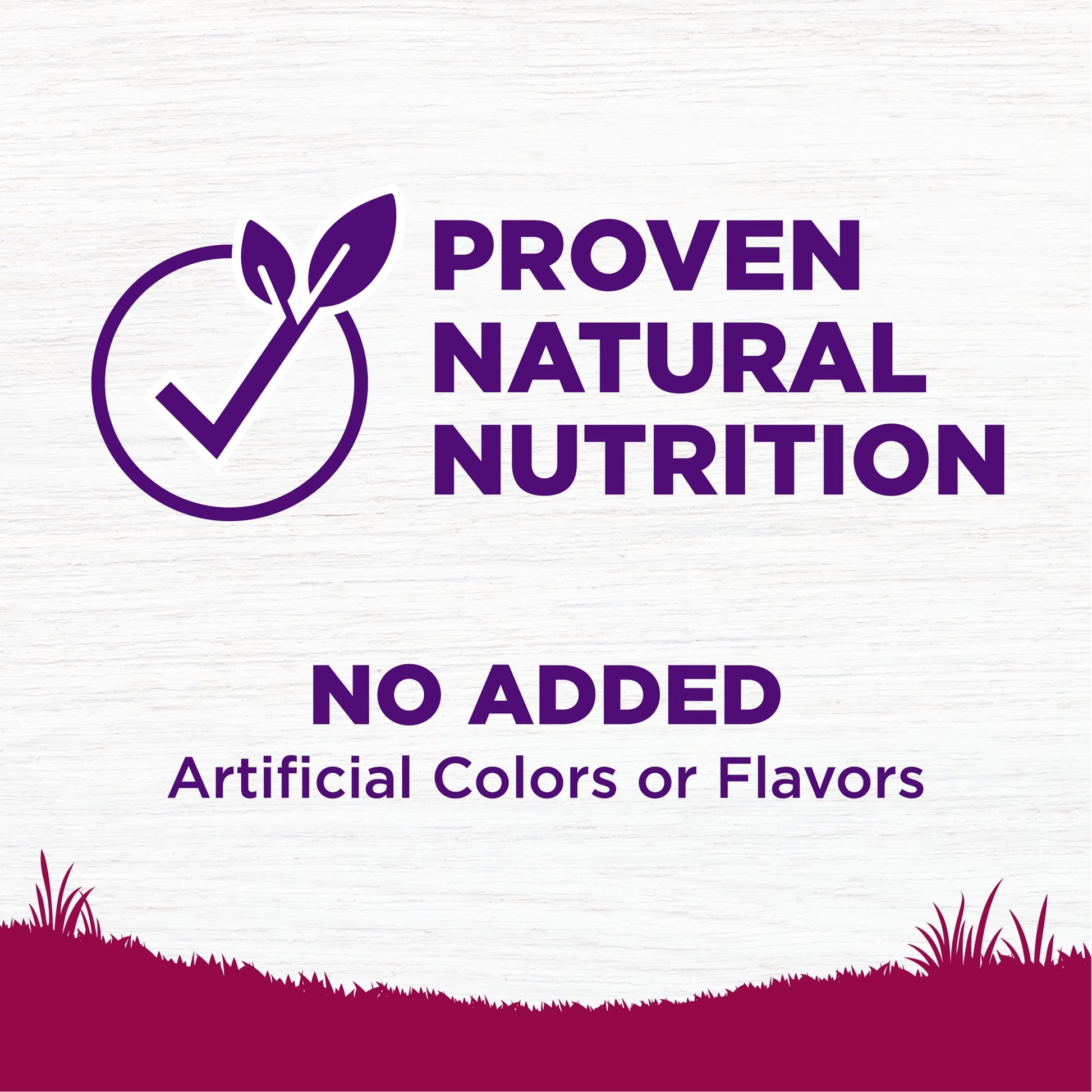 Wellness Complete Health Natural Small Breed Healthy Weight Dry Dog Food, Turkey & Rice, 12-Pound Bag