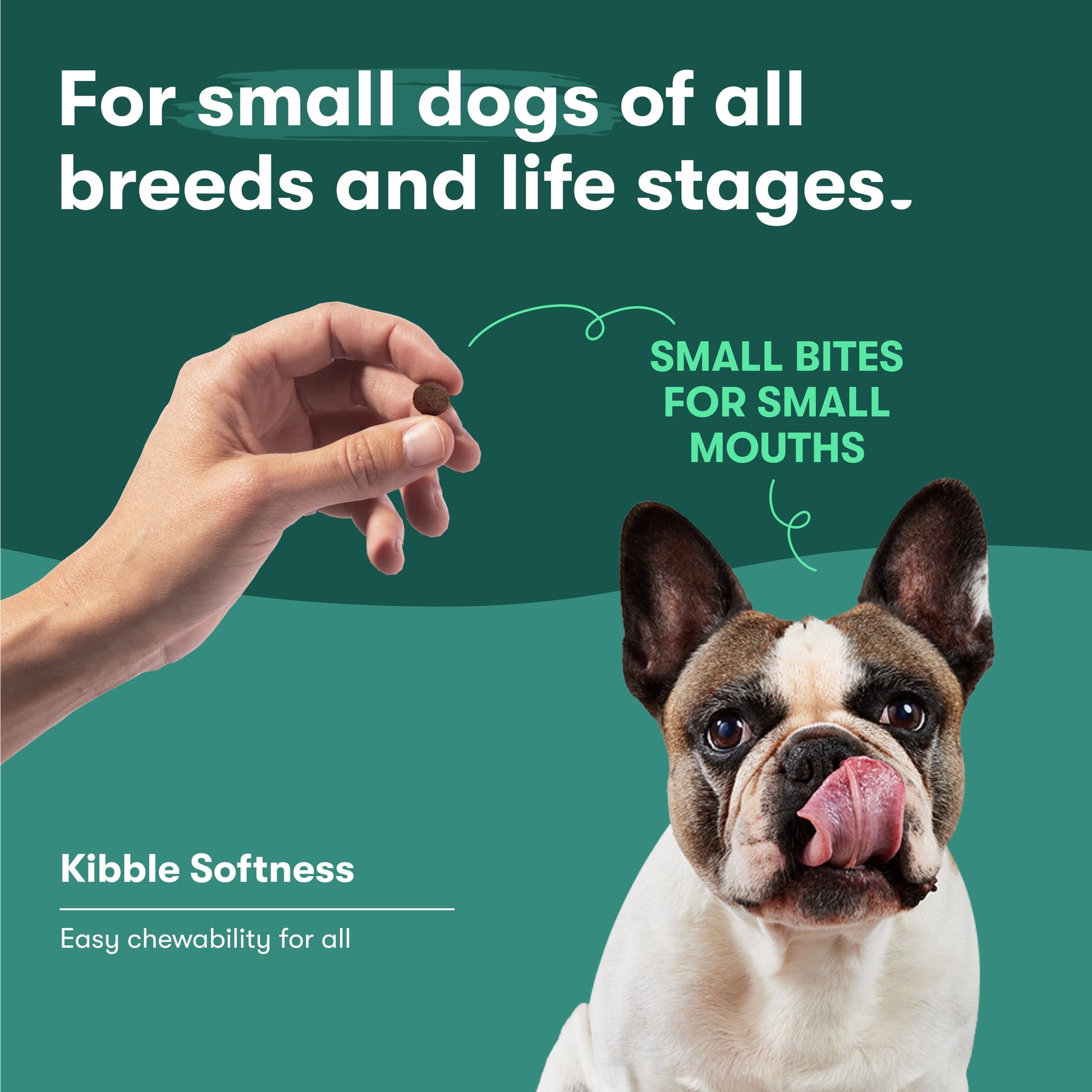 Jinx Small Breed Sweet Potato, & Carrot Dry Dog Food, Grain Free, 4lb. Bag