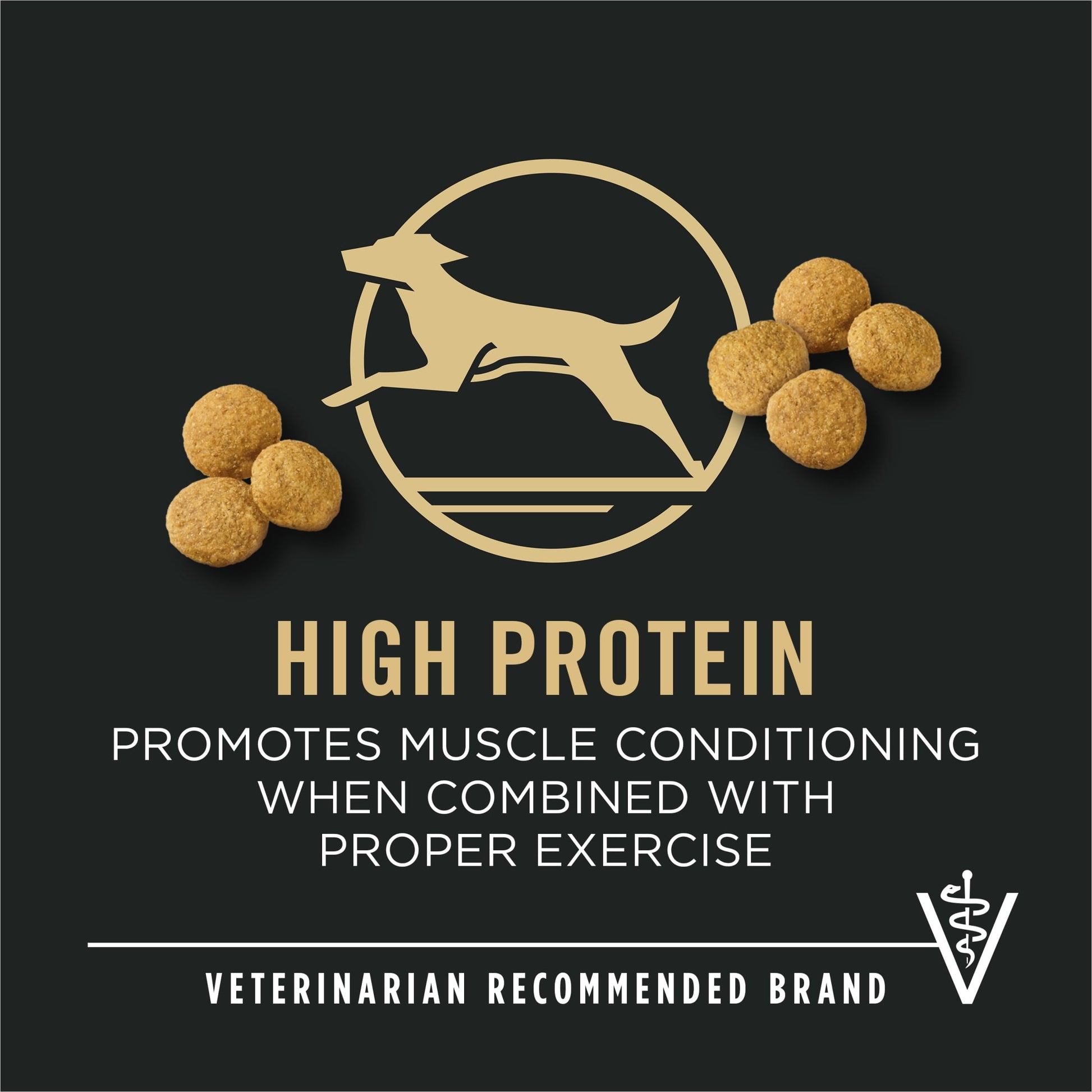 Purina Pro Plan Dry Dog Food for Large Adult Dogs High Protein,  Real Chicken & Rice, 34 lb Bag