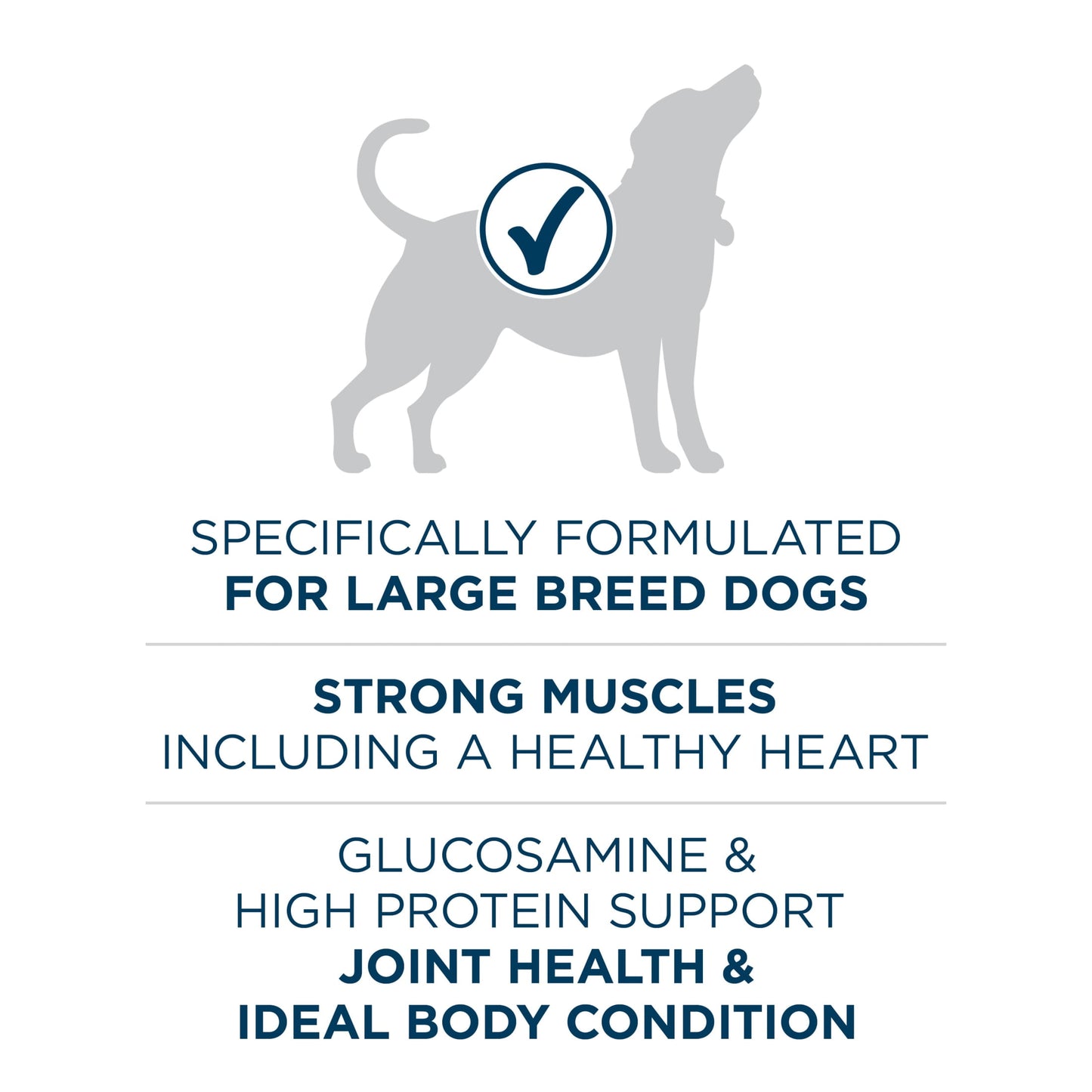 Purina ONE Plus Dry Large Breed Dog Food for Adult Dogs, Real Protein Rich Natural Chicken Flavor, 40lb Bag