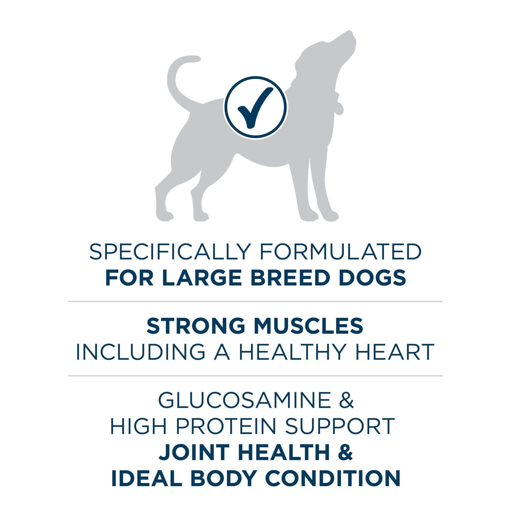 Purina ONE Plus Dry Large Breed Dog Food for Adult Dogs, Real Protein Rich Natural Chicken Flavor, 40lb Bag