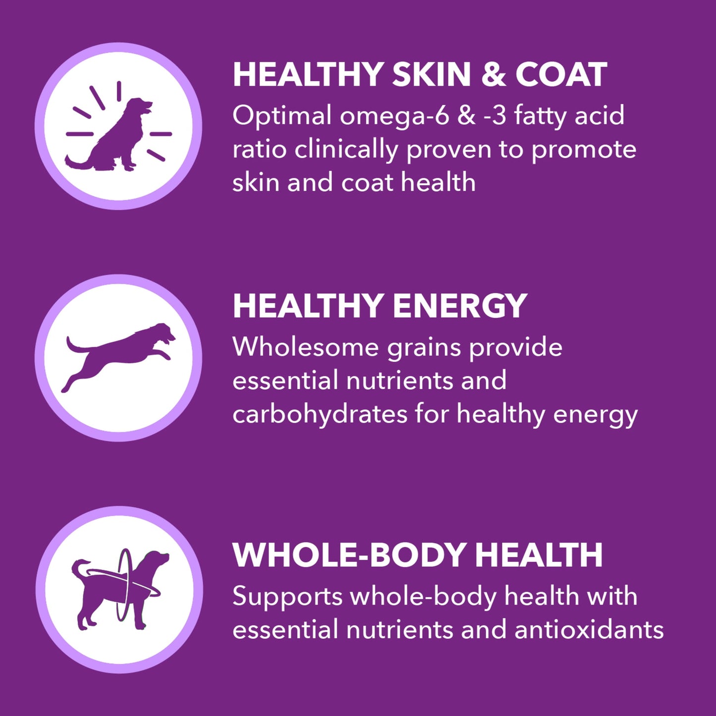 Iams Advanced Health Skin & Coat Chicken And Salmon Recipe Adult Dry Dog Food, 27 Lb Bag