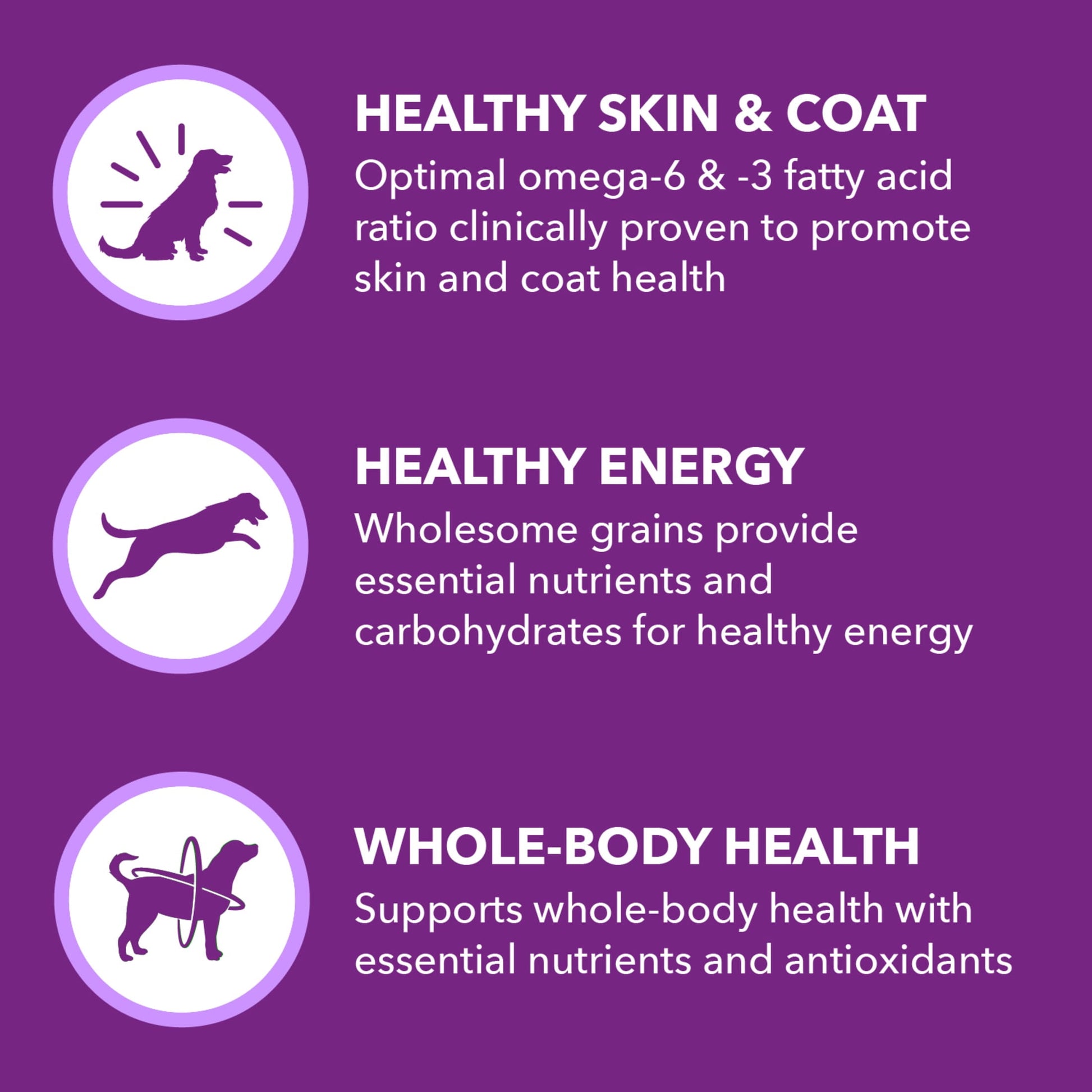 Iams Advanced Health Skin & Coat Chicken And Salmon Recipe Adult Dry Dog Food, 27 Lb Bag