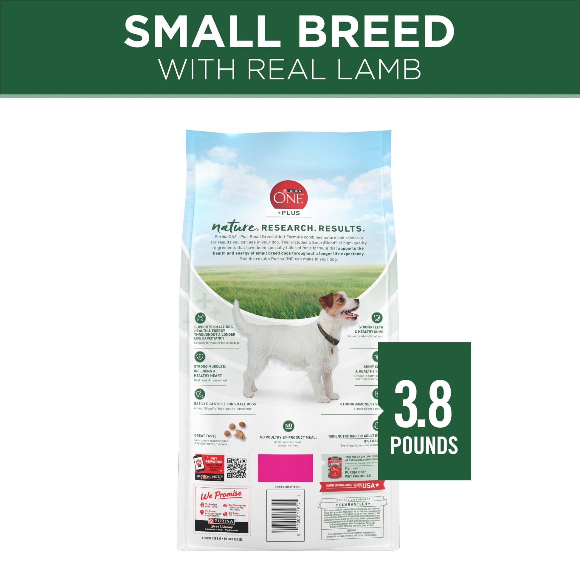 Purina ONE Natural Grain-Free Dry Dog Food, High Protein Lamb, Small Breeds, 3.8 lb Bag