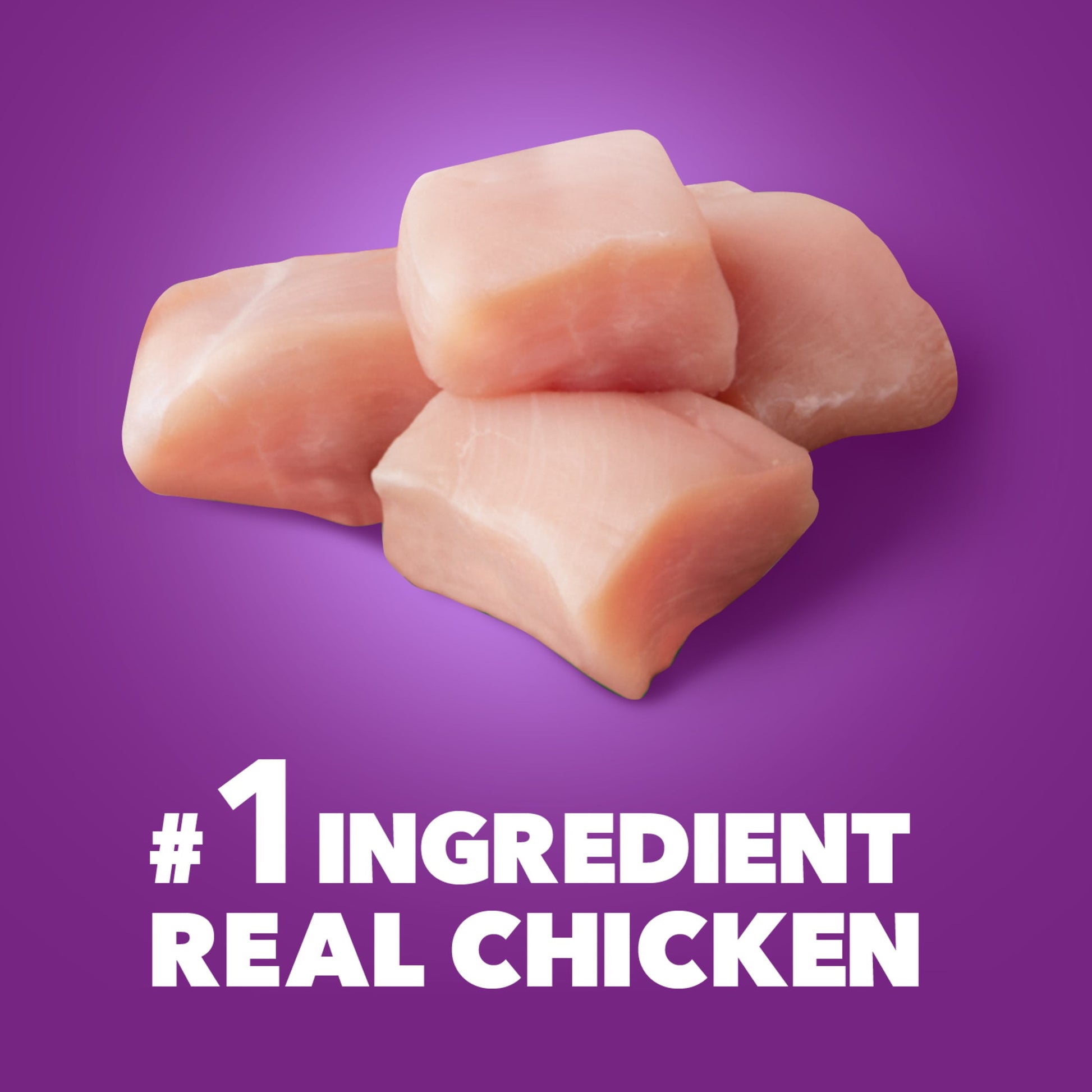 Iams Advanced Health Skin & Coat Chicken And Salmon Recipe Adult Dry Dog Food, 27 Lb Bag