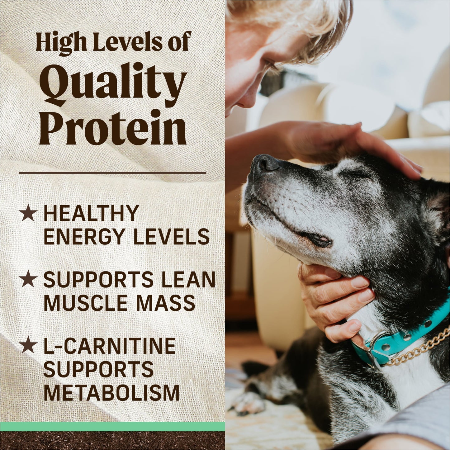 Merrick Grain-Free Dry Dog Food for Seniors, High Protein Real Chicken & Sweet Potato, 22 lb Bag