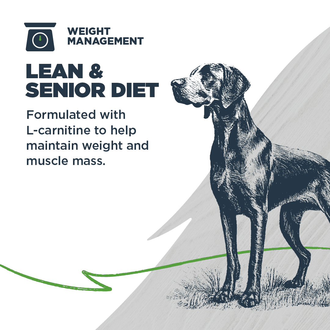 Blackwood Dry Dog Food Lean/Senior Chicken Meal with Ancient Grains 24 lb.