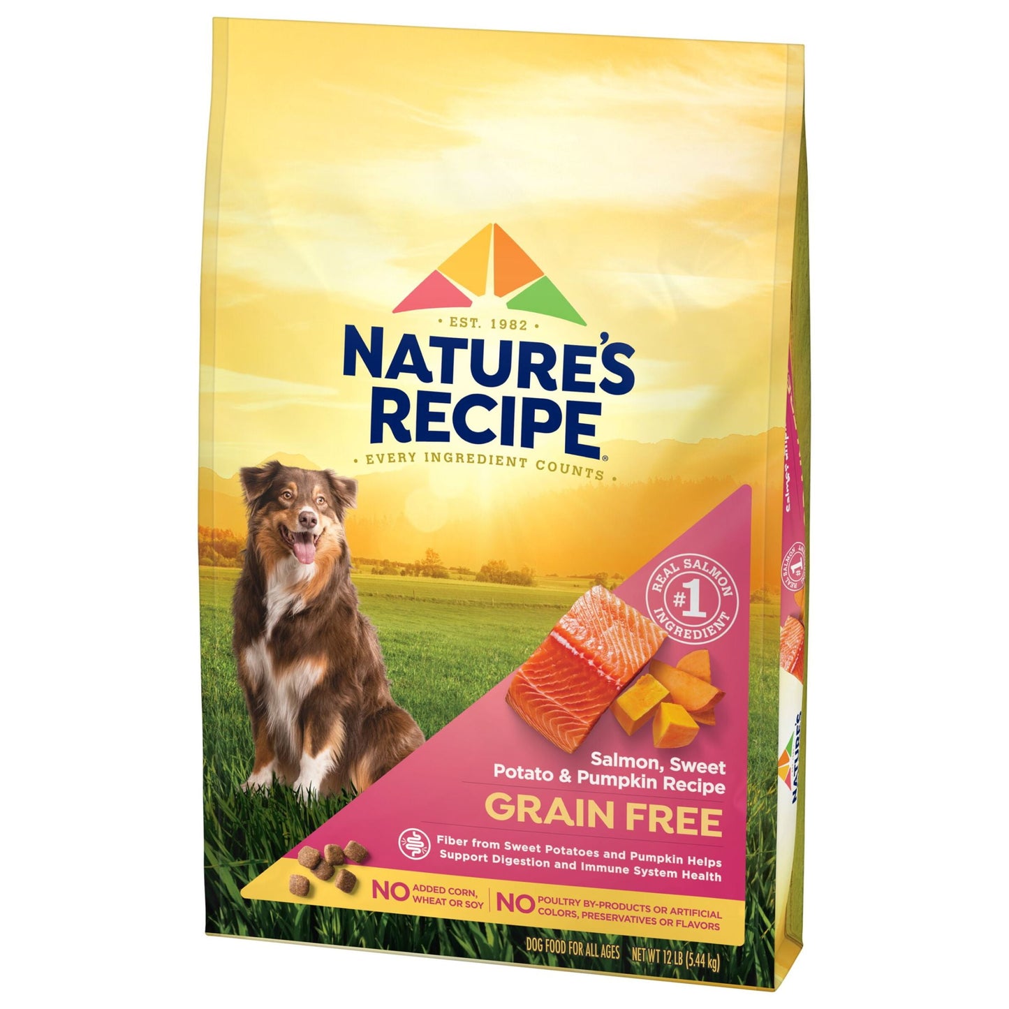 Nature’s Recipe Grain Free Salmon, Sweet Potato & Pumpkin Recipe Dry Dog Food, 12 lb. Bag