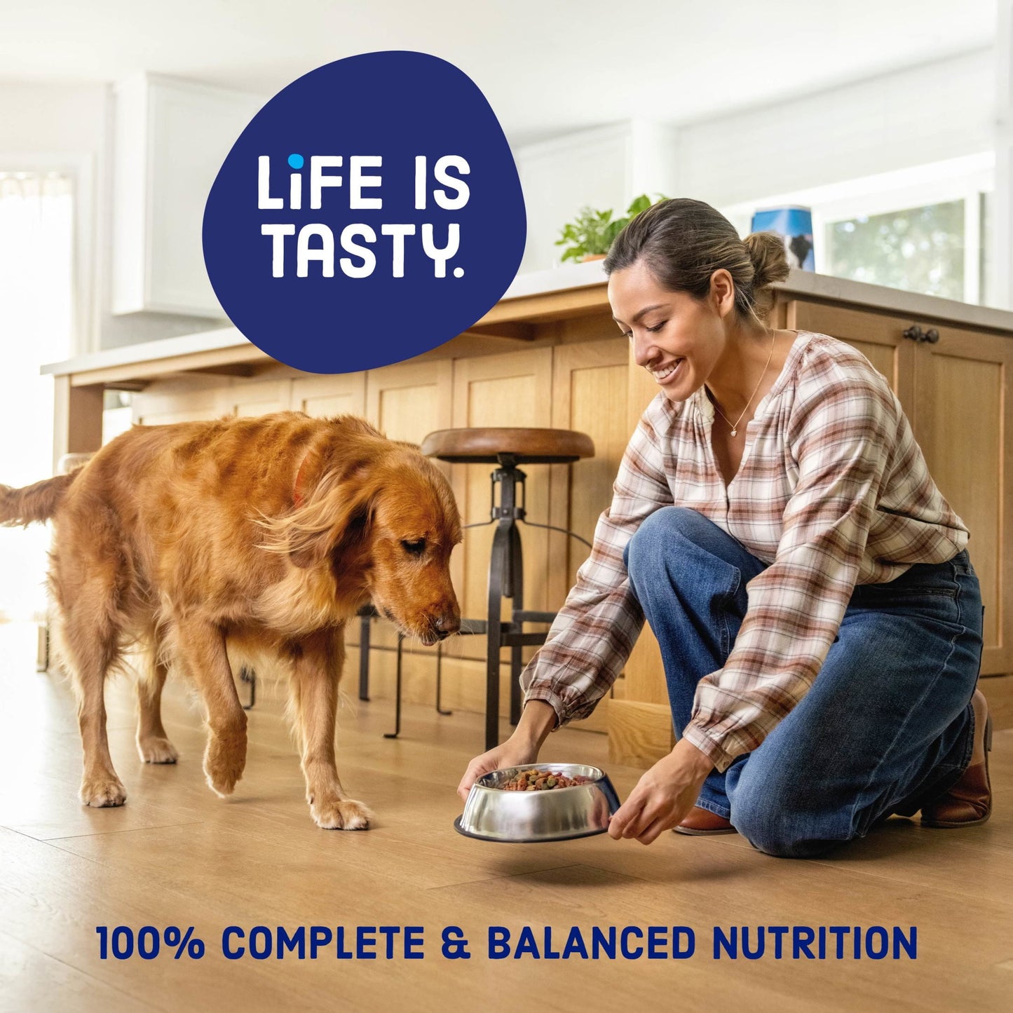 Kibbles 'n Bits Triple Steak Flavor Dry High Protein Dog Food 40 lb Bag