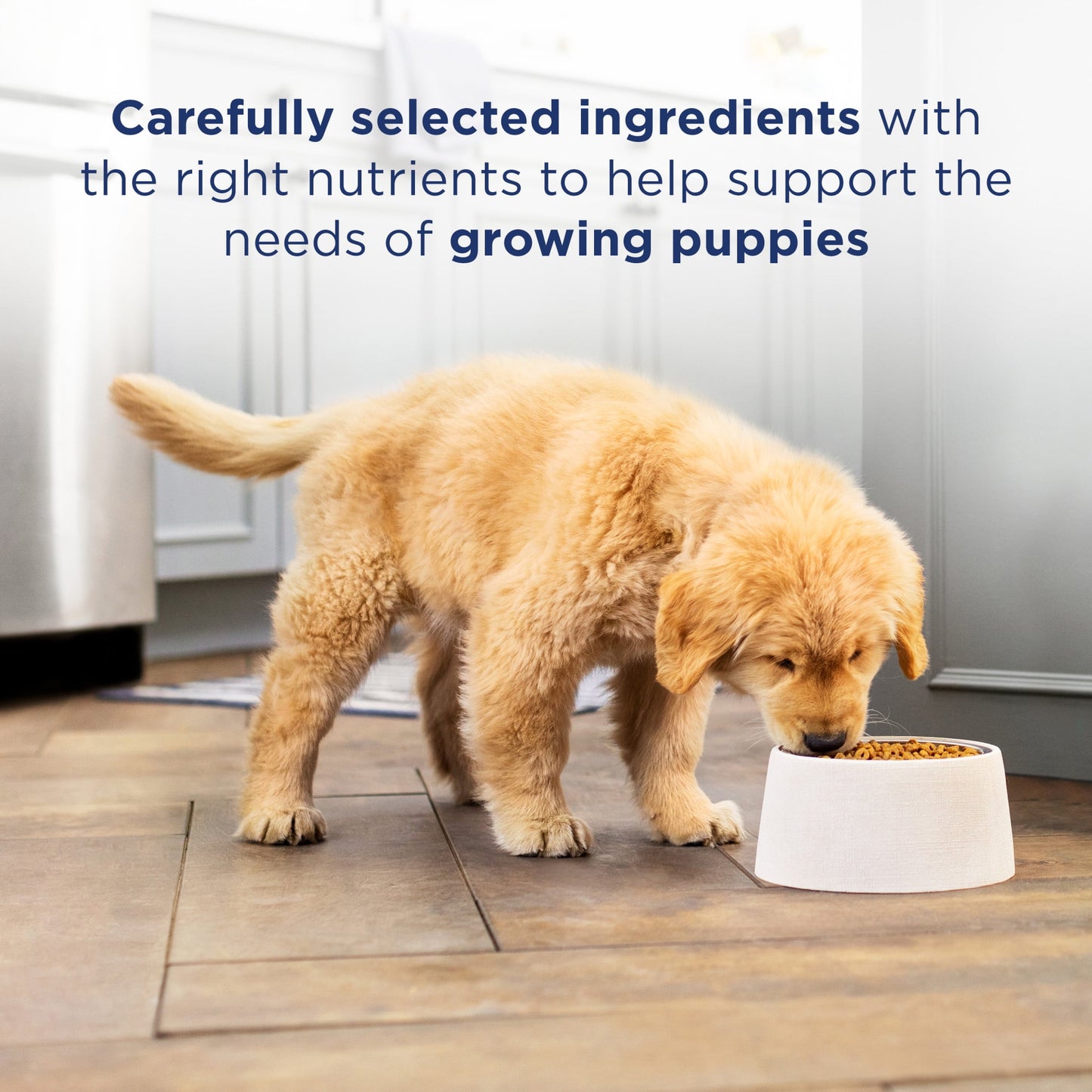 Natural Balance L.I.D. Limited Ingredient Diets Dry Dog Food, 4 Pounds, Salmon & Brown Rice Puppy Formula