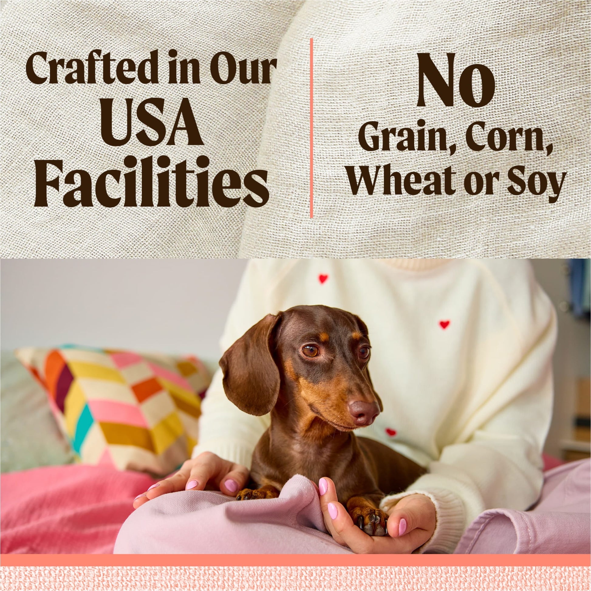 Merrick Lil’ Plates Premium Grain Free Dry Dog Food for Small Dogs, Real Salmon and Sweet Potato Kibble, 12.0 lb. Bag