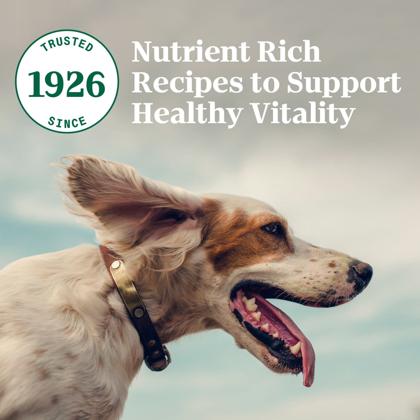Nutro Natural Choice Small Bites Adult Dry Dog Food, Lamb And Brown Rice Recipe, 30 Lbs.