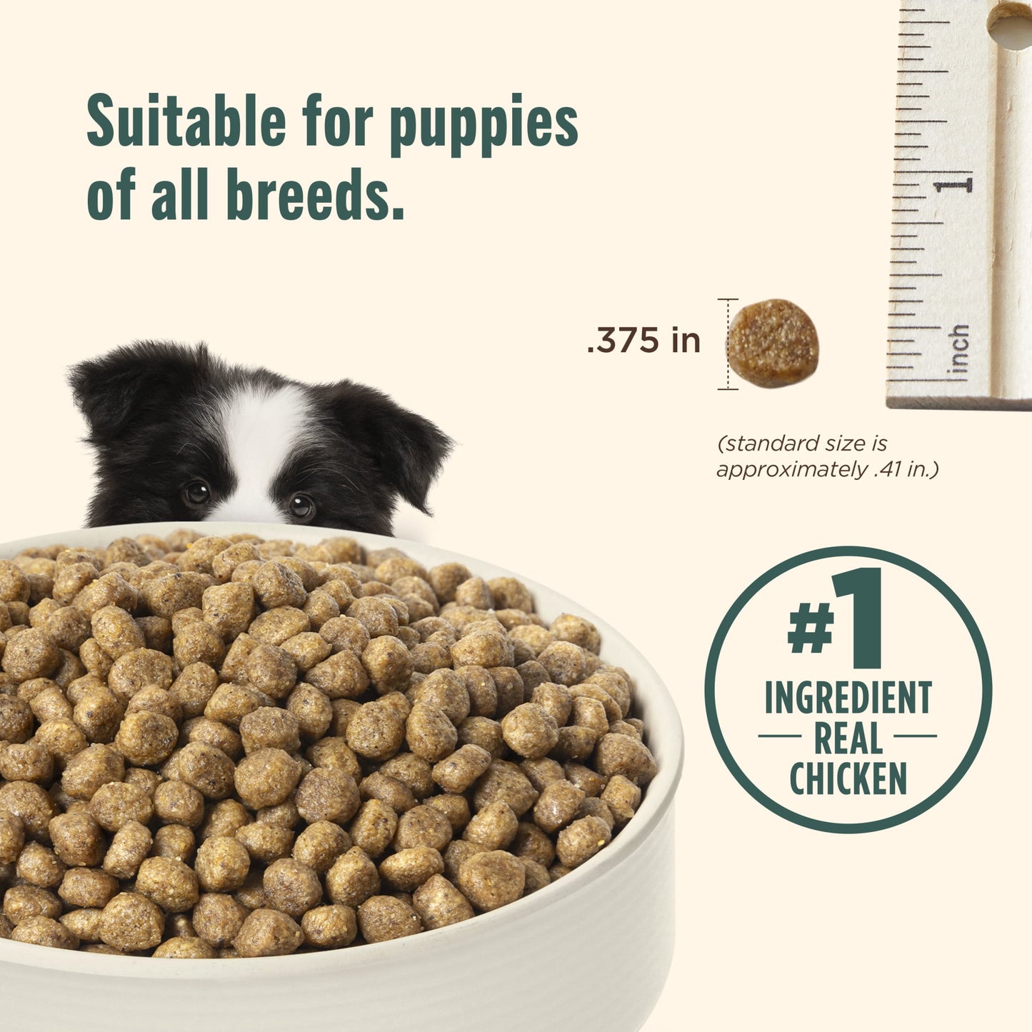 Nutrish Puppy Real Chicken & Brown Rice Recipe Whole Health Blend Dry Dog Food, 6 lb. Bag (Rachael Ray)