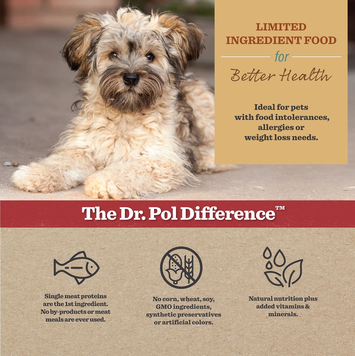 Dr. Pol Healthy Balance Limited Ingredient Grain-Free Salmon Recipe Dog Food, 4 lb. Bag