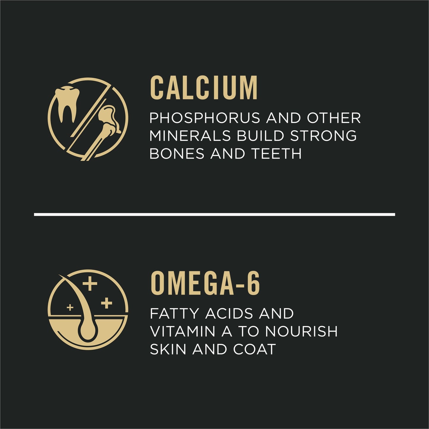 Purina Pro Plan Puppy Dry Dog Food for Large Dogs Under 2 Years, Real Chicken & Rice, 34 lb Bag