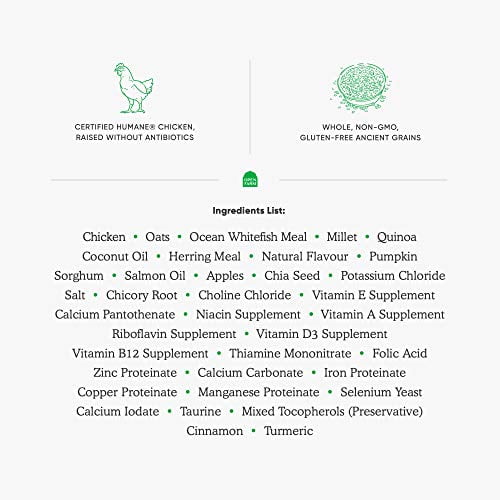 Open Farm Harvest Chicken & Ancient Grains Dry Dog Food, Humanely Raised Chicken Recipe with Wholesome Grains and No Artificial Flavors or Preservatives, 4 lbs