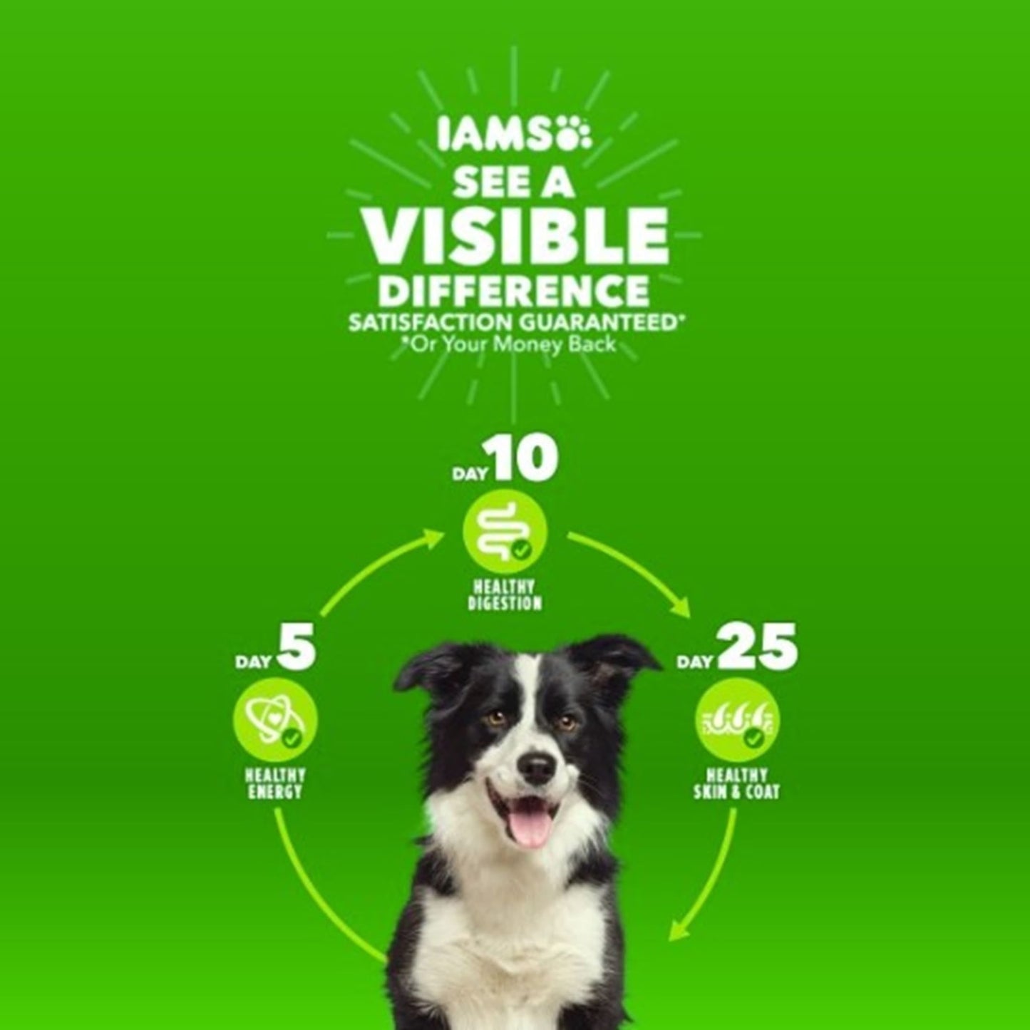 Iams Advanced Health Skin & Coat Chicken And Salmon Recipe Adult Dry Dog Food, 27 Lb Bag