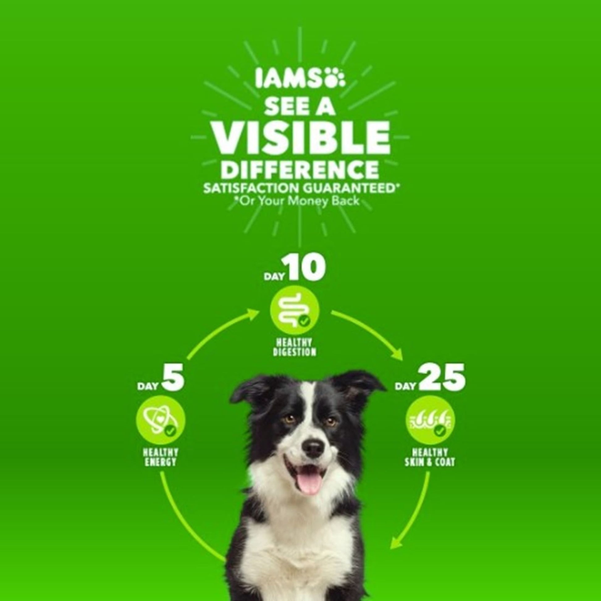 Iams Advanced Health Skin & Coat Chicken And Salmon Recipe Adult Dry Dog Food, 27 Lb Bag